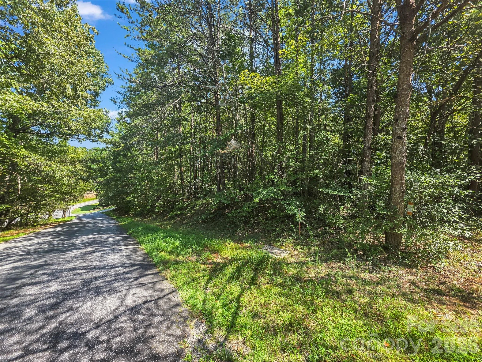0 Shumont Estates Drive #1 - Photo 5