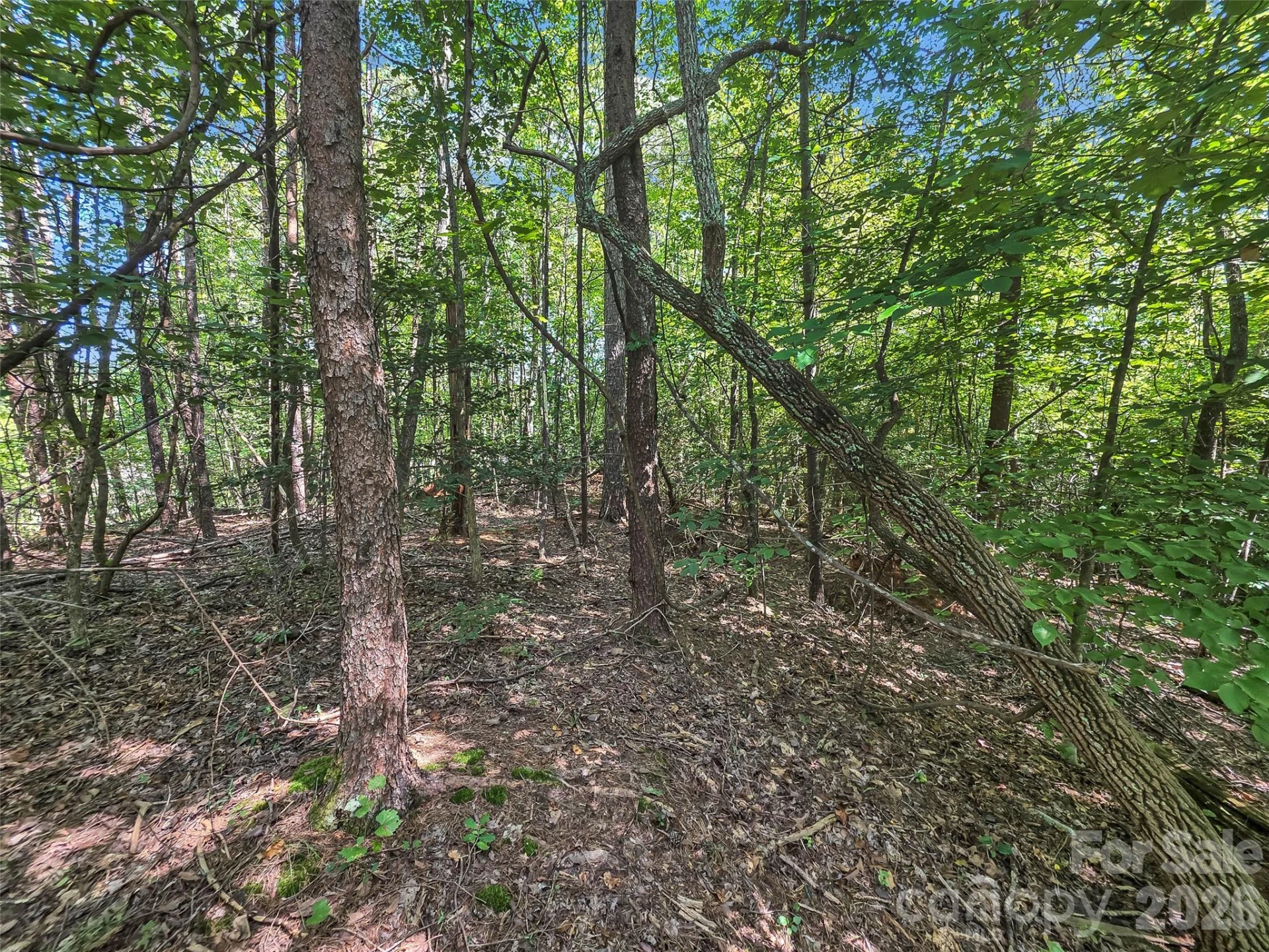 0 Shumont Estates Drive #1 - Photo 6