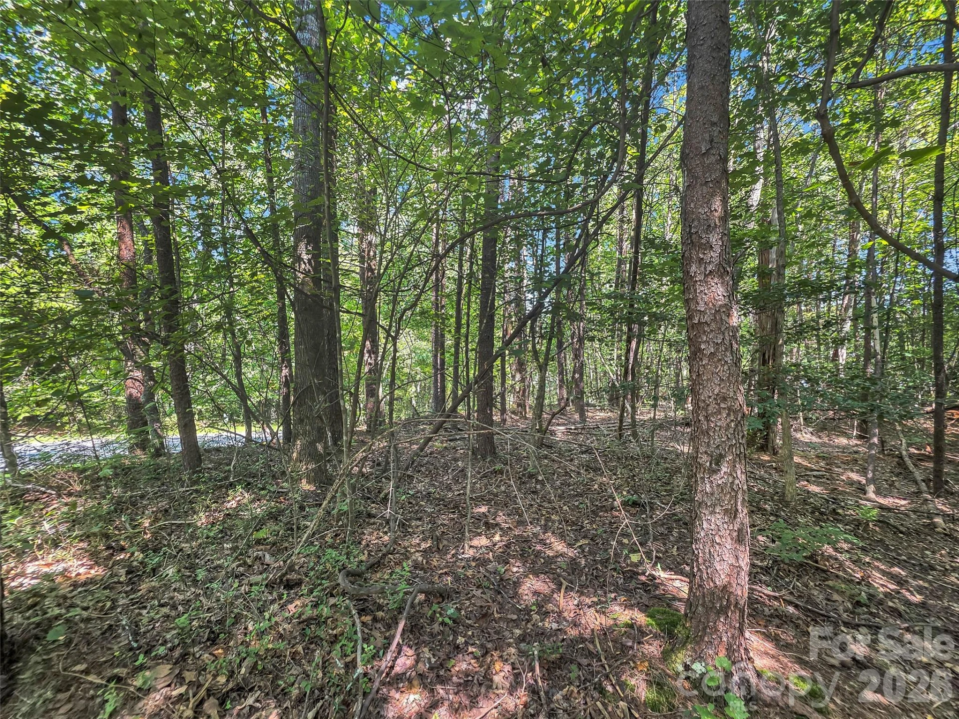 0 Shumont Estates Drive #1 - Photo 8