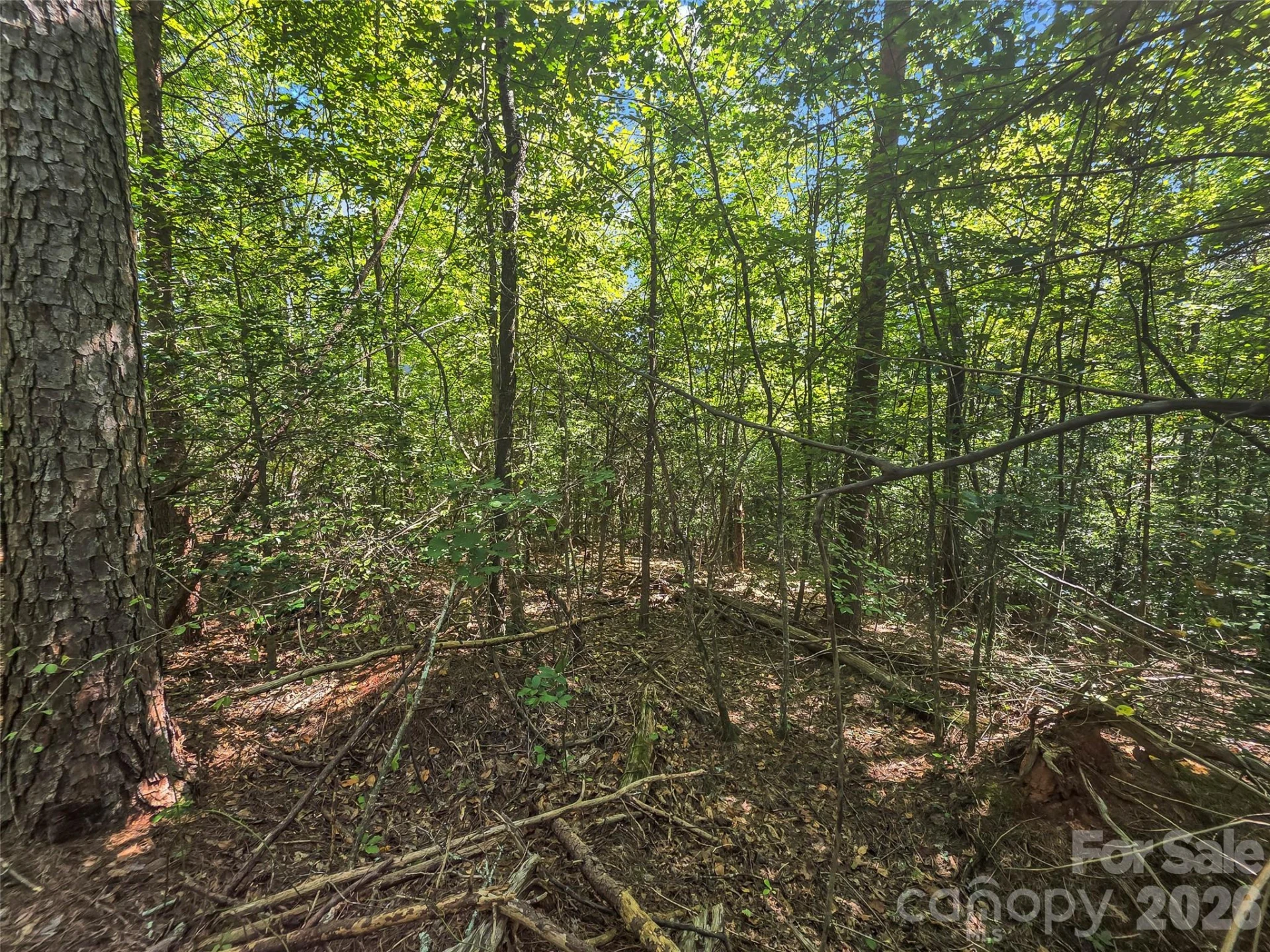 0 Shumont Estates Drive #1 - Photo 9