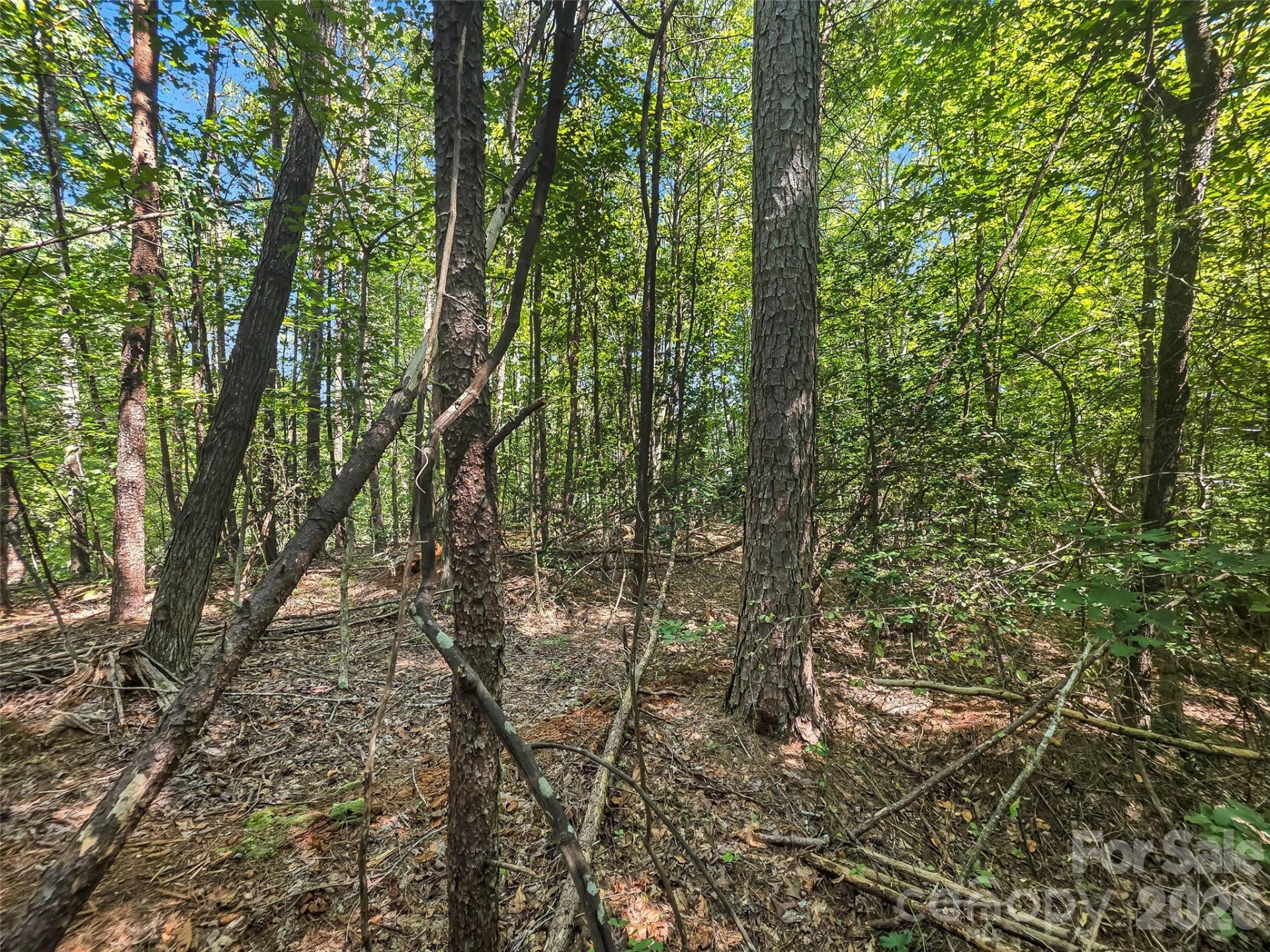 0 Shumont Estates Drive #1 - Photo 10