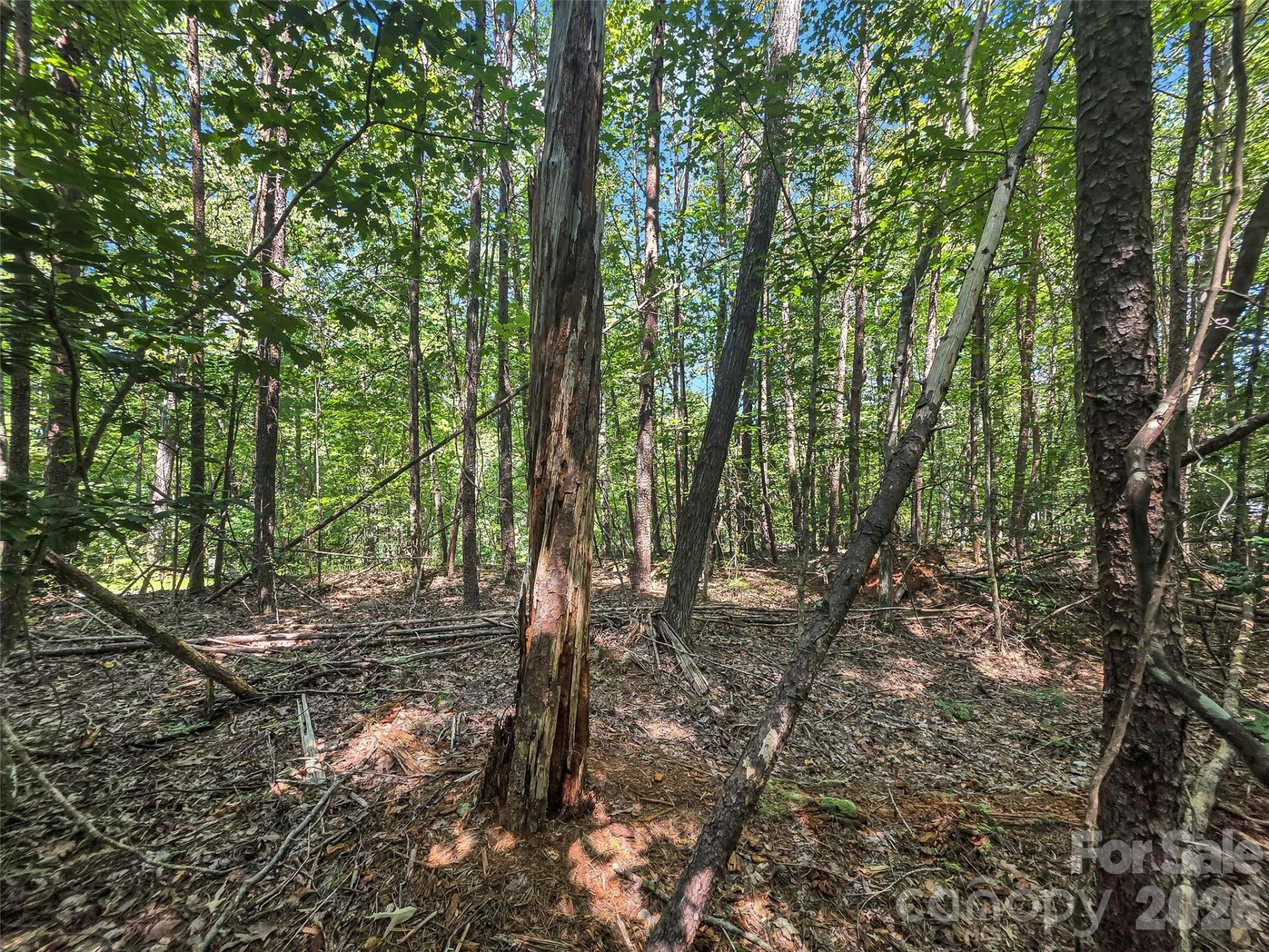 0 Shumont Estates Drive #1 - Photo 11
