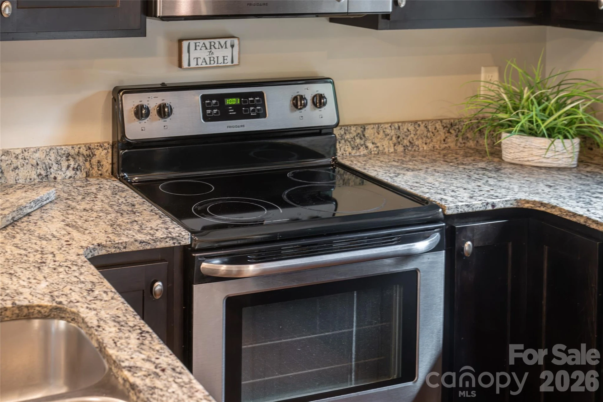 43 Burk Street - Photo 13