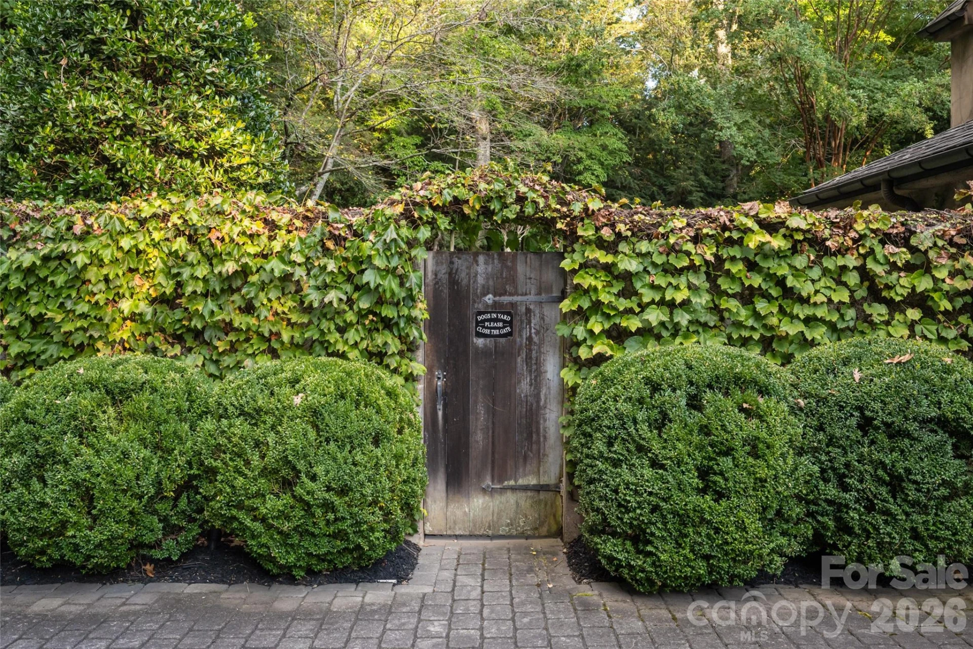 6 Frith Drive - Photo 32