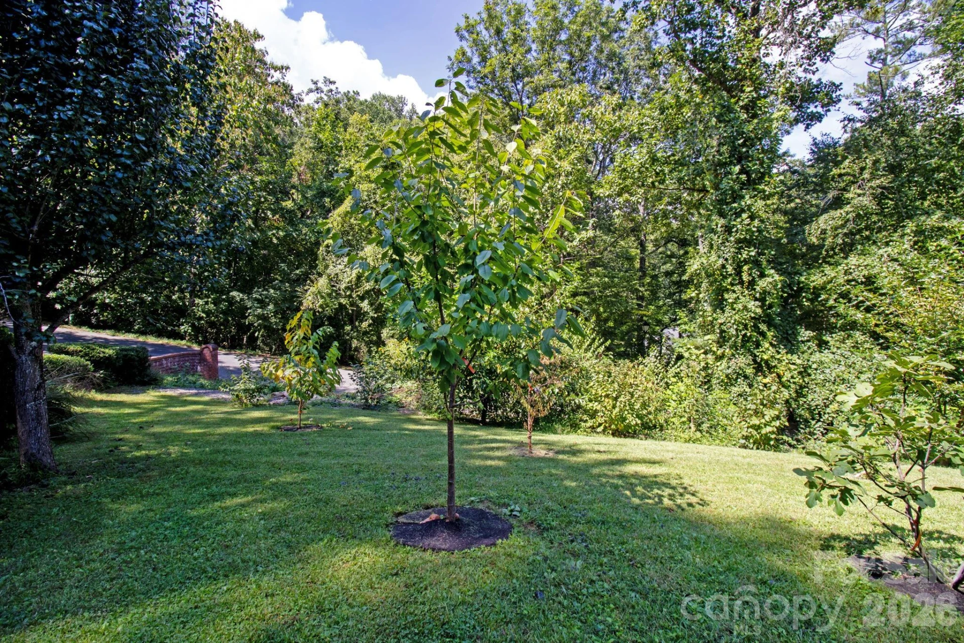 6 Kit Court - Photo 44