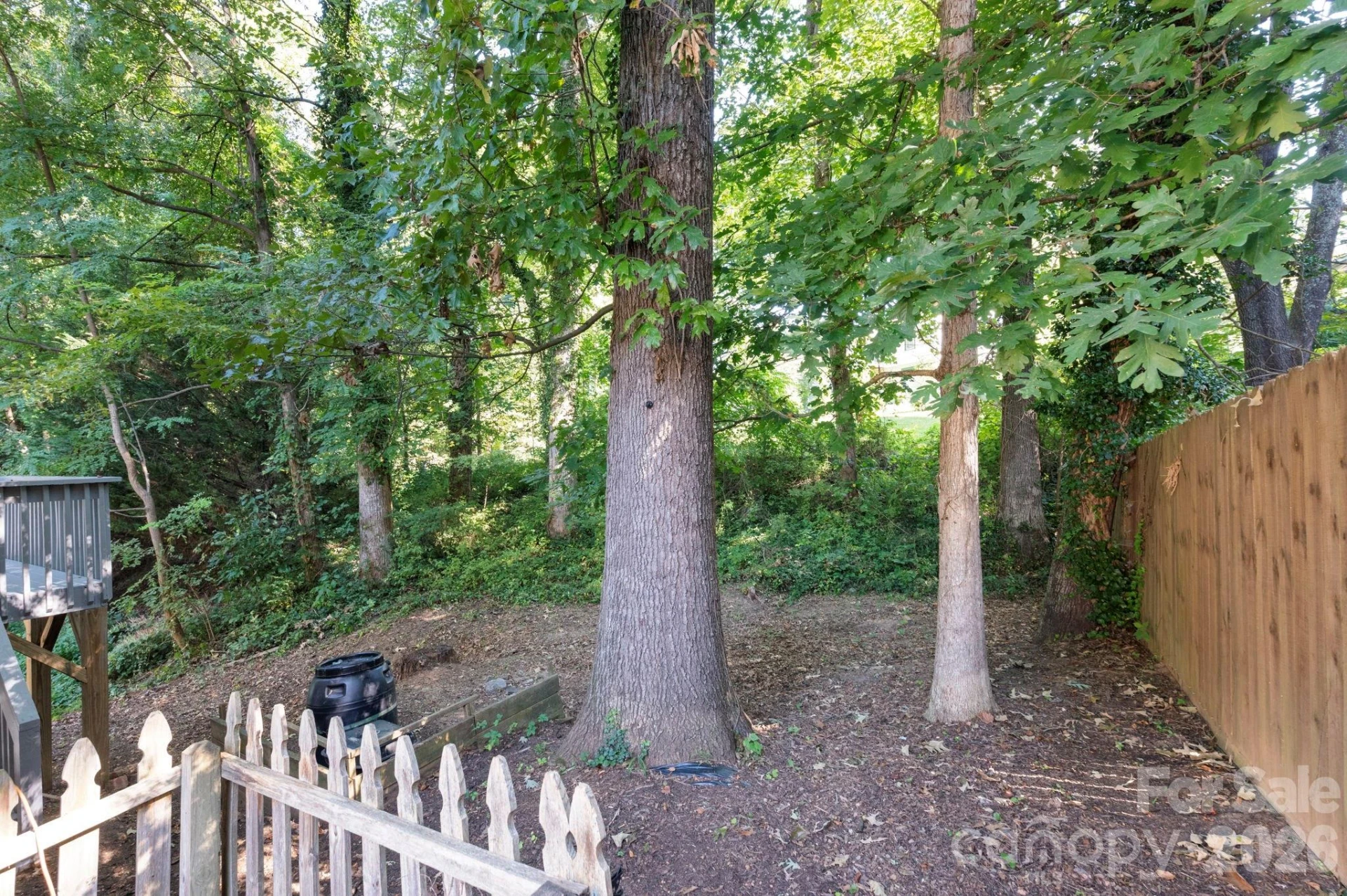 47 Wilmington Street - Photo 20