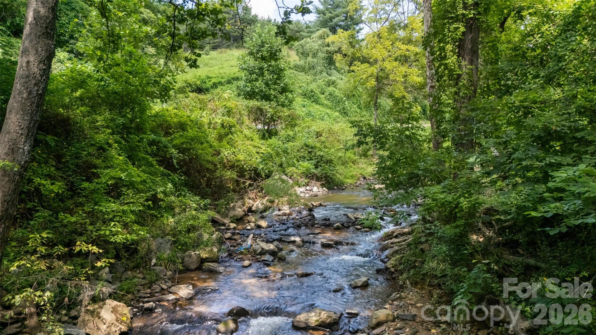 376 Lower Flat Creek Road - Photo 2