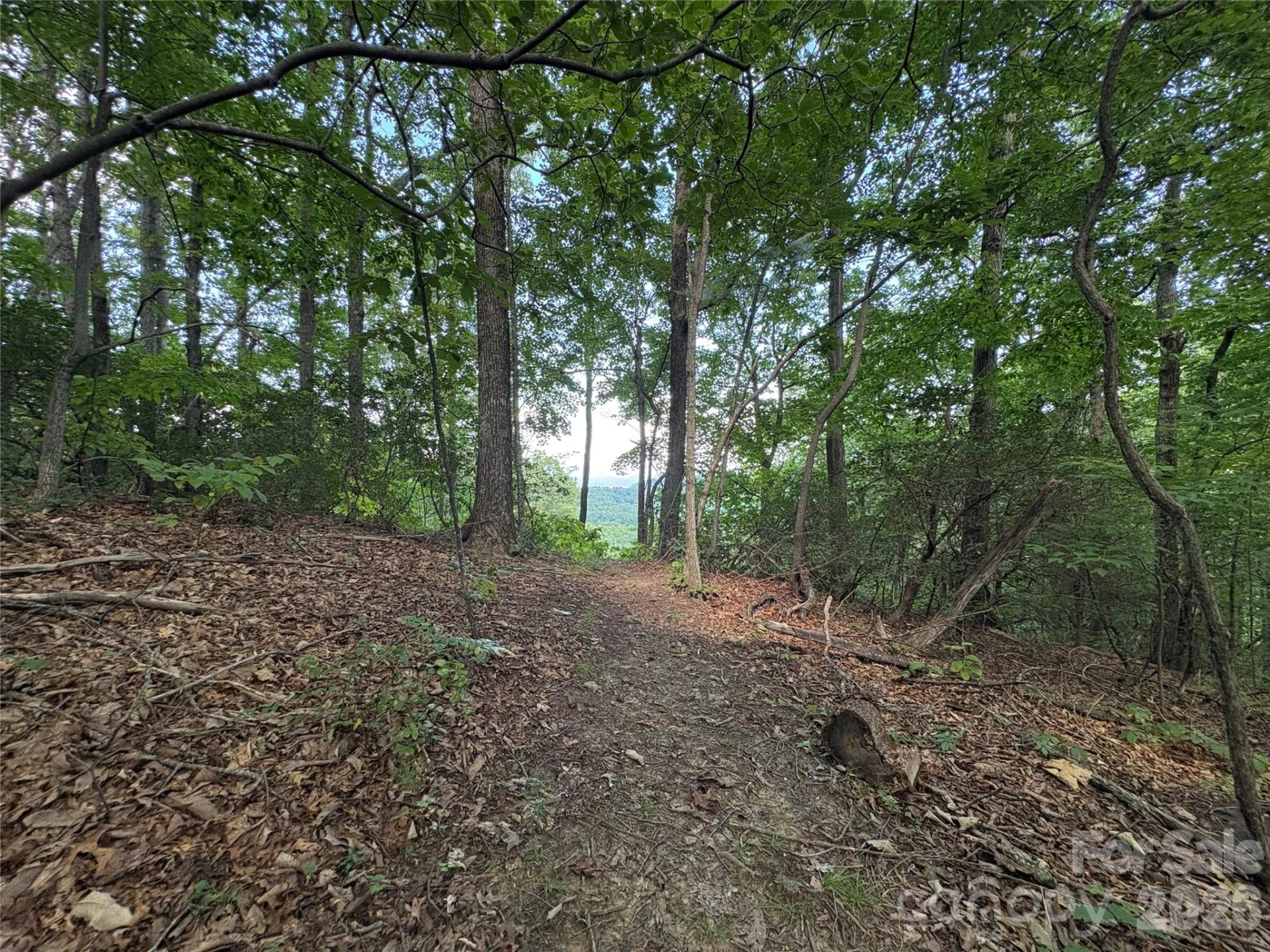 10 Camp Elliott Road - Photo 43