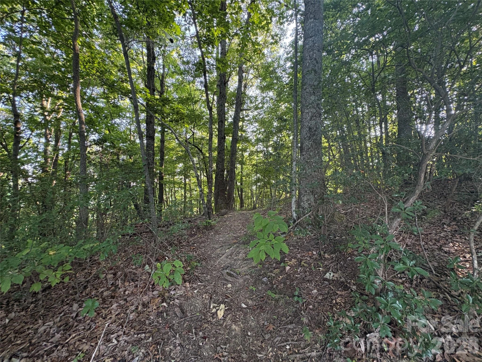 10 Camp Elliott Road - Photo 47