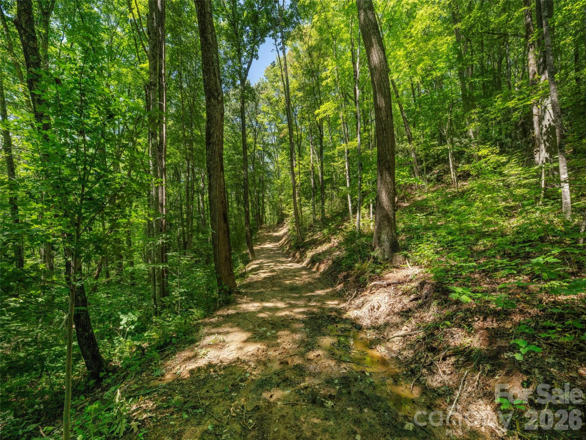 433 Rockmont Road - Photo 2