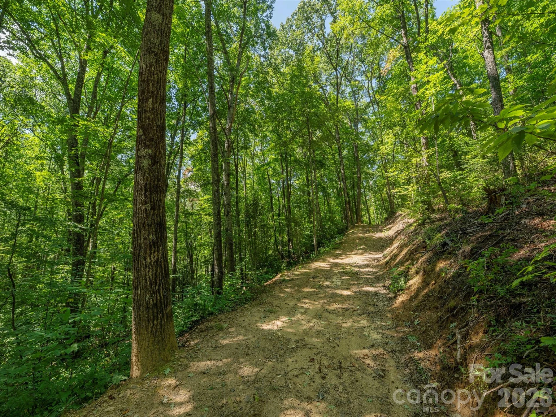 433 Rockmont Road - Photo 3