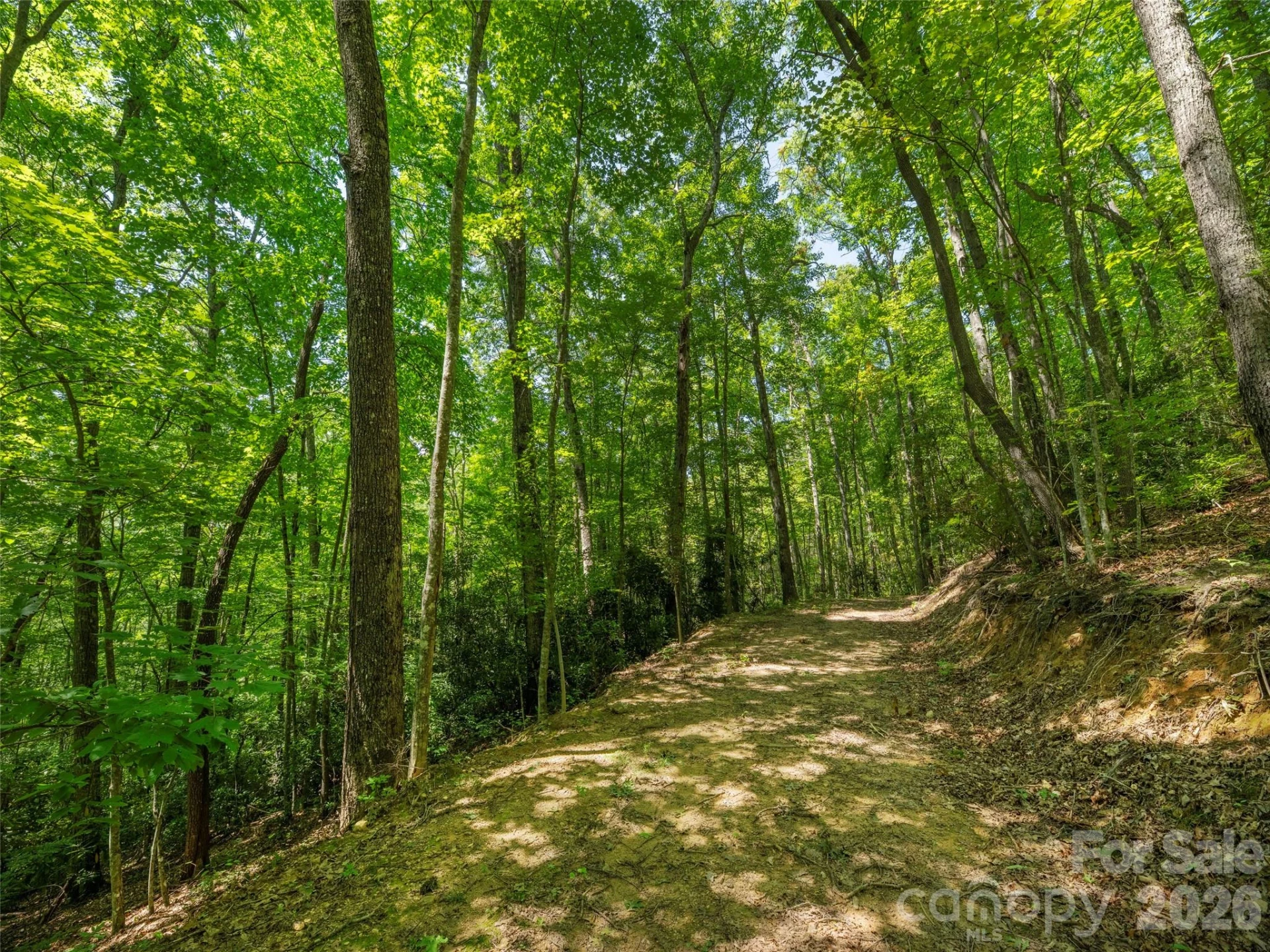 433 Rockmont Road - Photo 4