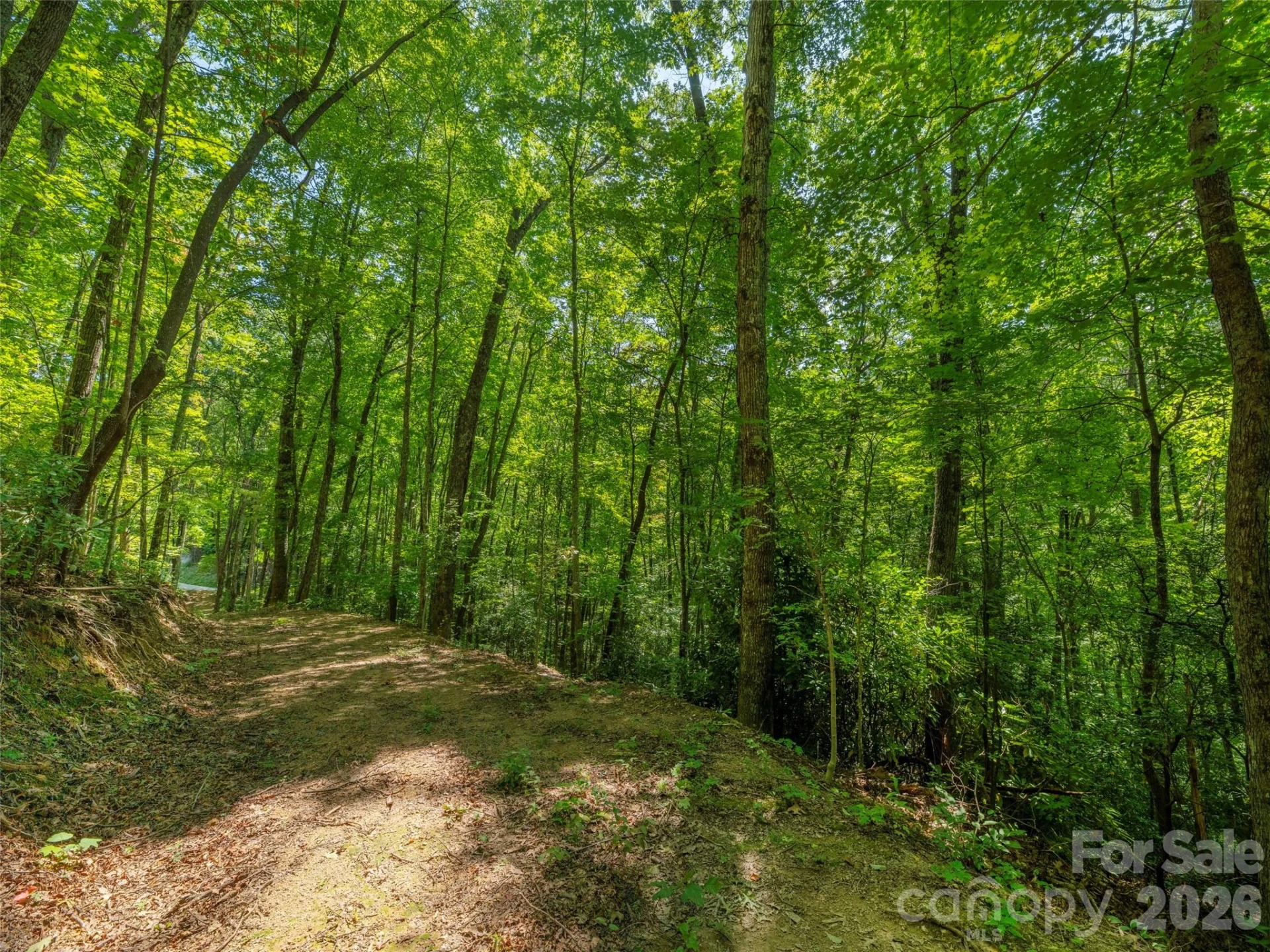 433 Rockmont Road - Photo 5