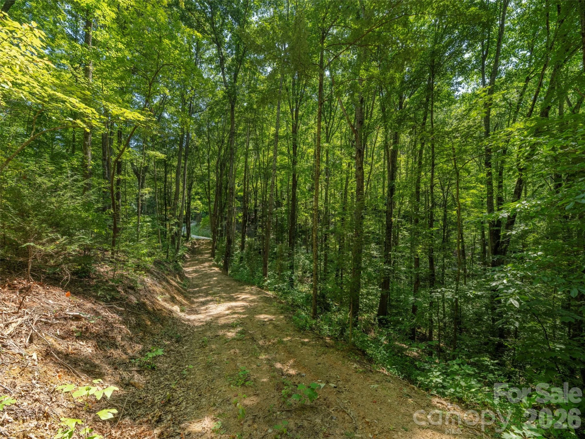 433 Rockmont Road - Photo 6
