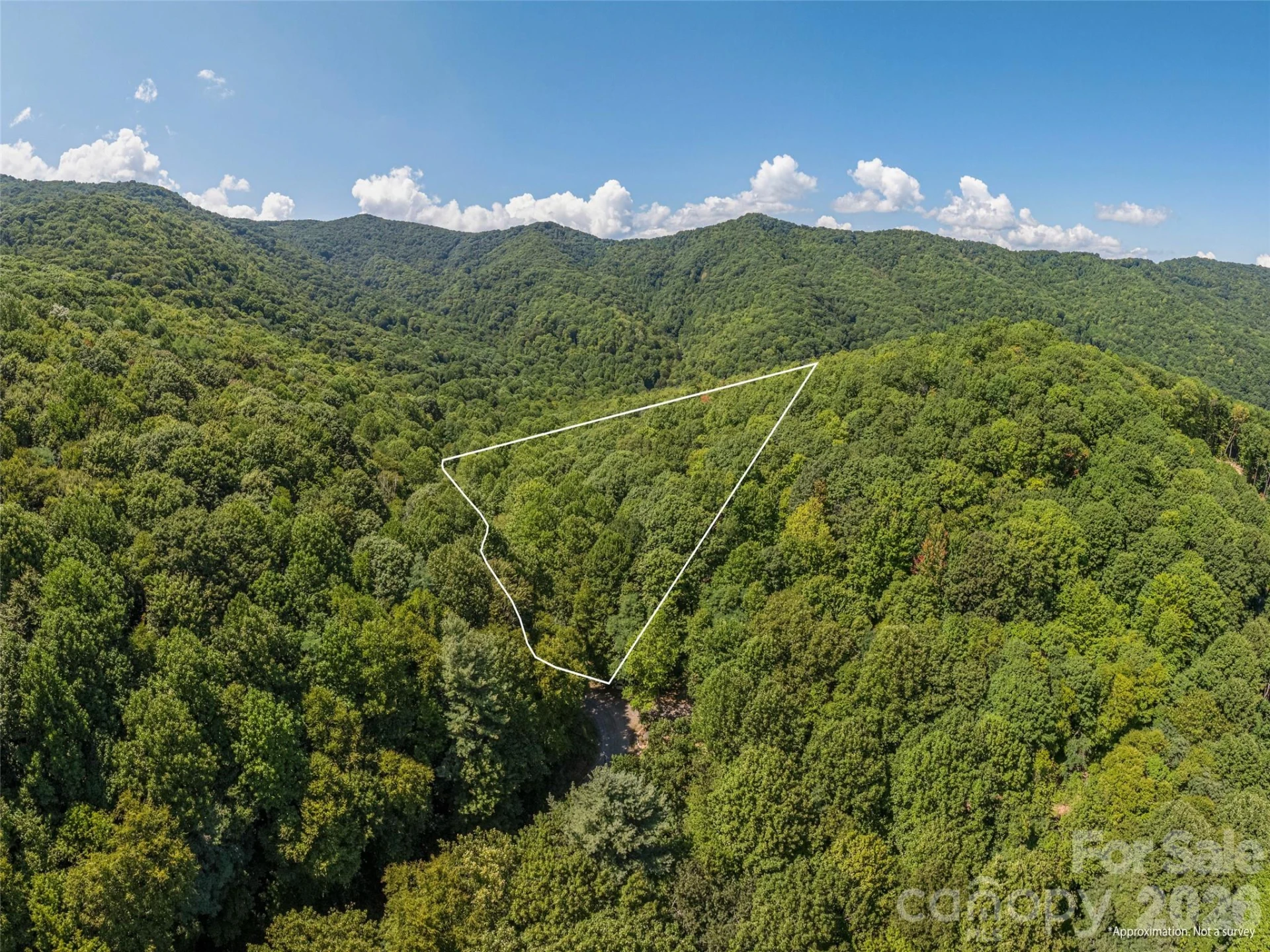 433 Rockmont Road - Photo 7