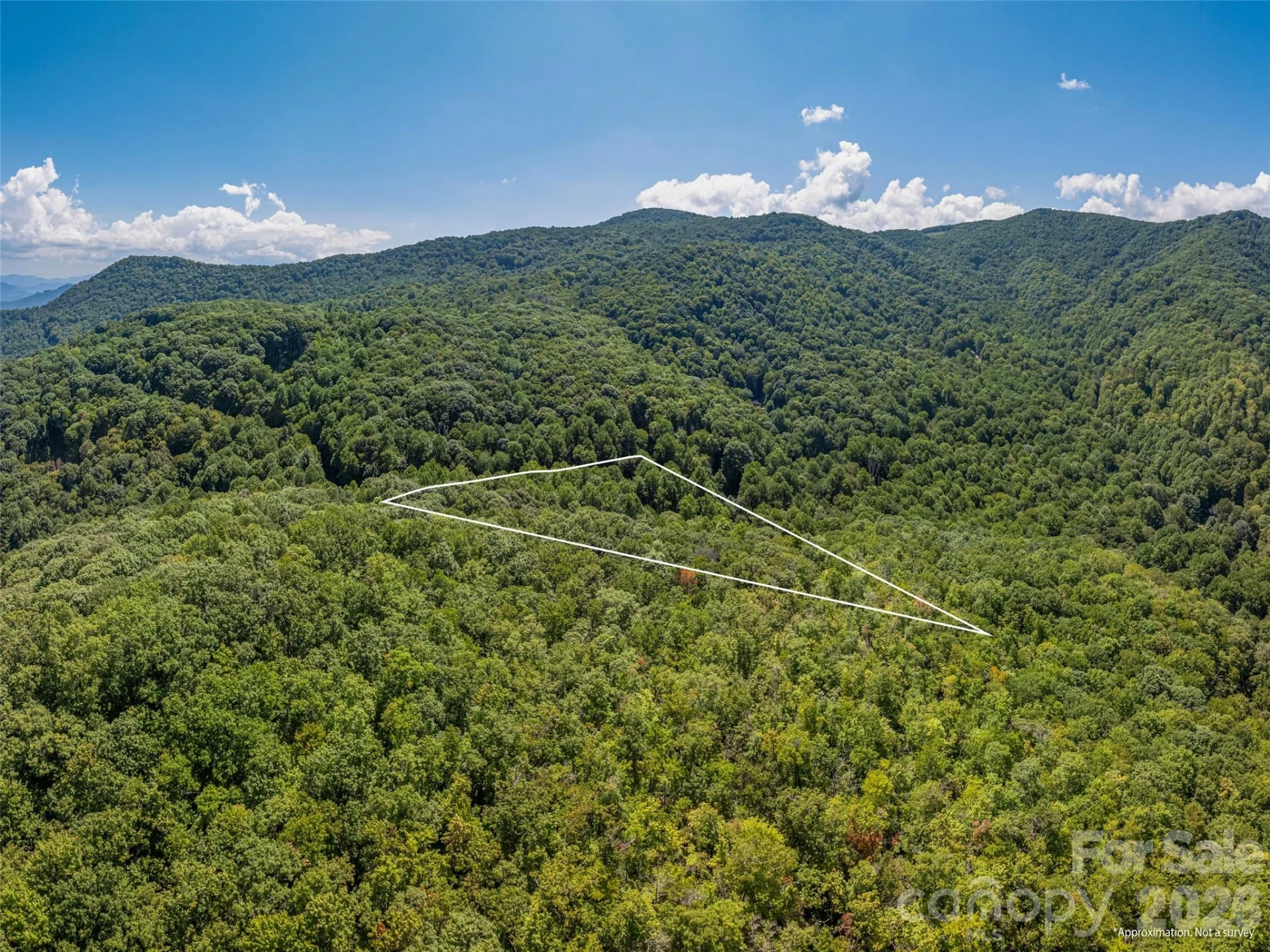 433 Rockmont Road - Photo 10
