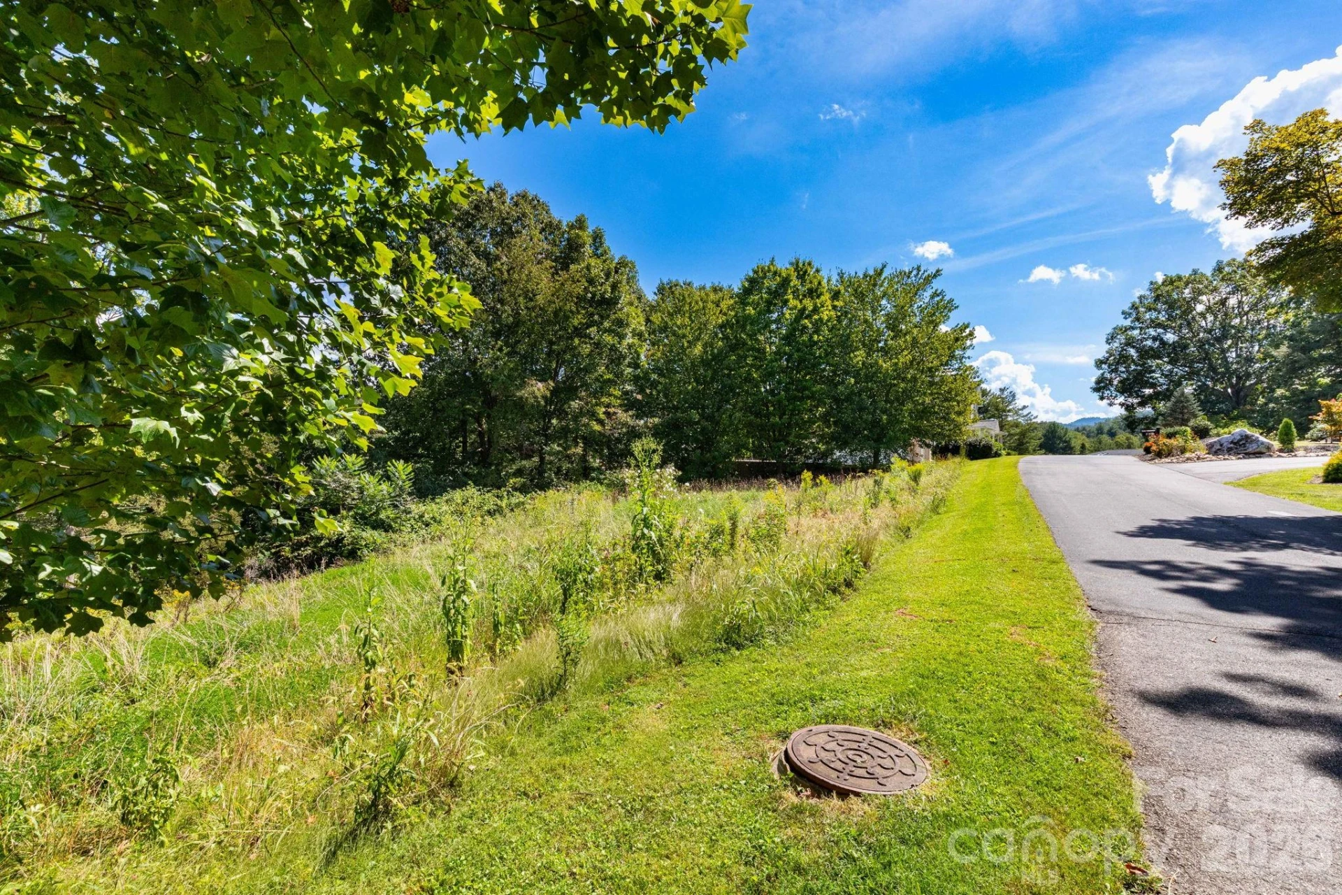 9999 Foxfire Estates Circle - Photo 2