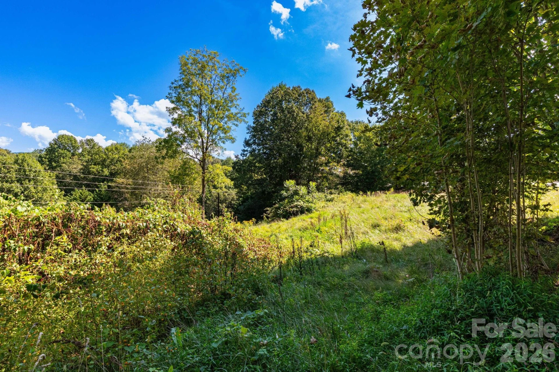 9999 Foxfire Estates Circle - Photo 4
