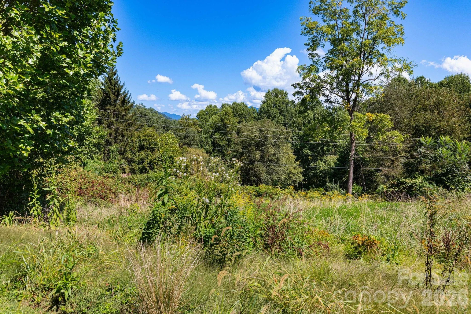 9999 Foxfire Estates Circle - Photo 5