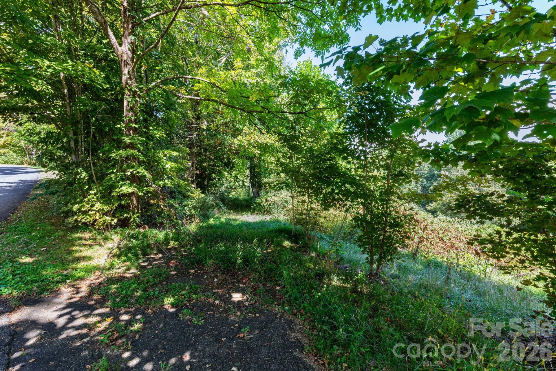 9999 Foxfire Estates Circle - Photo 6