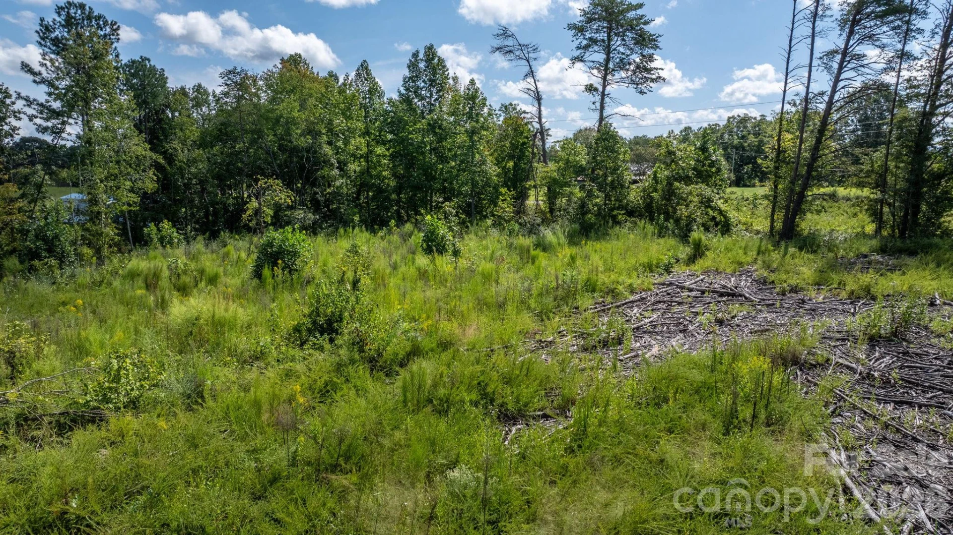 817 Drucilla Church Road - Photo 2
