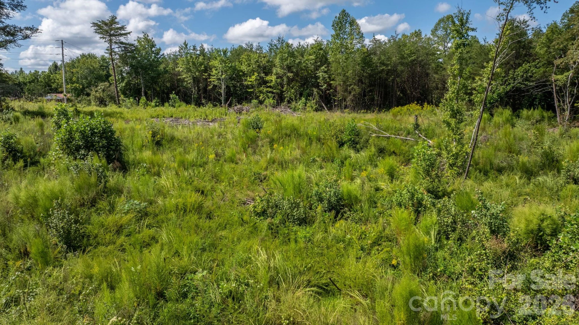 817 Drucilla Church Road - Photo 3