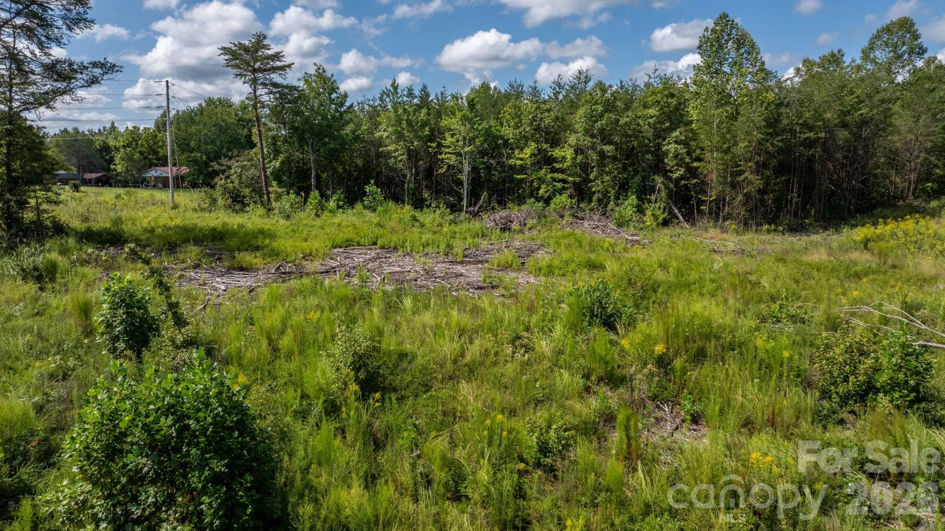 817 Drucilla Church Road - Photo 4