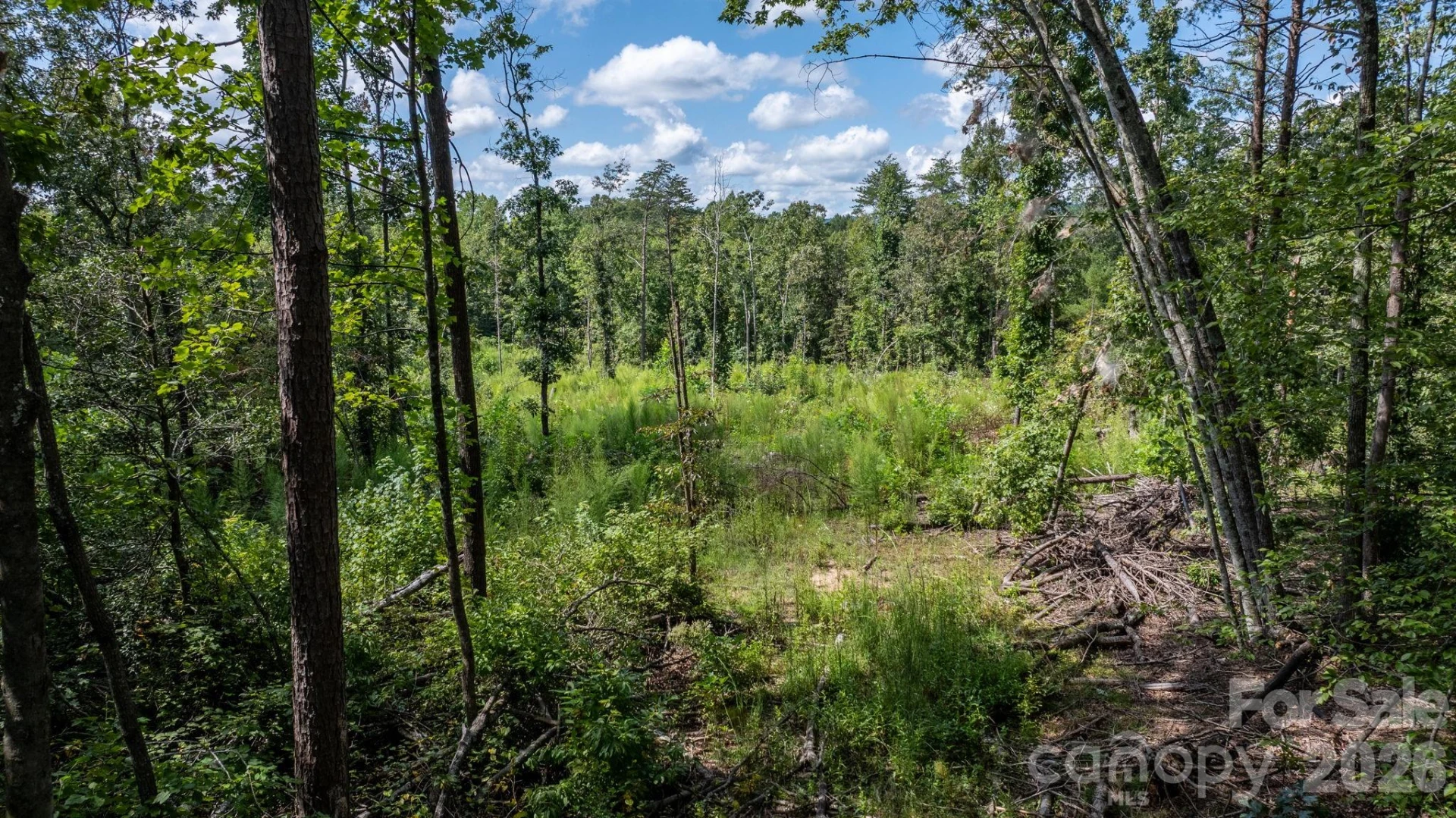 817 Drucilla Church Road - Photo 6
