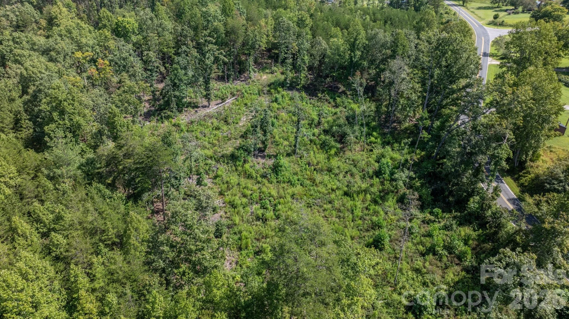 817 Drucilla Church Road - Photo 7