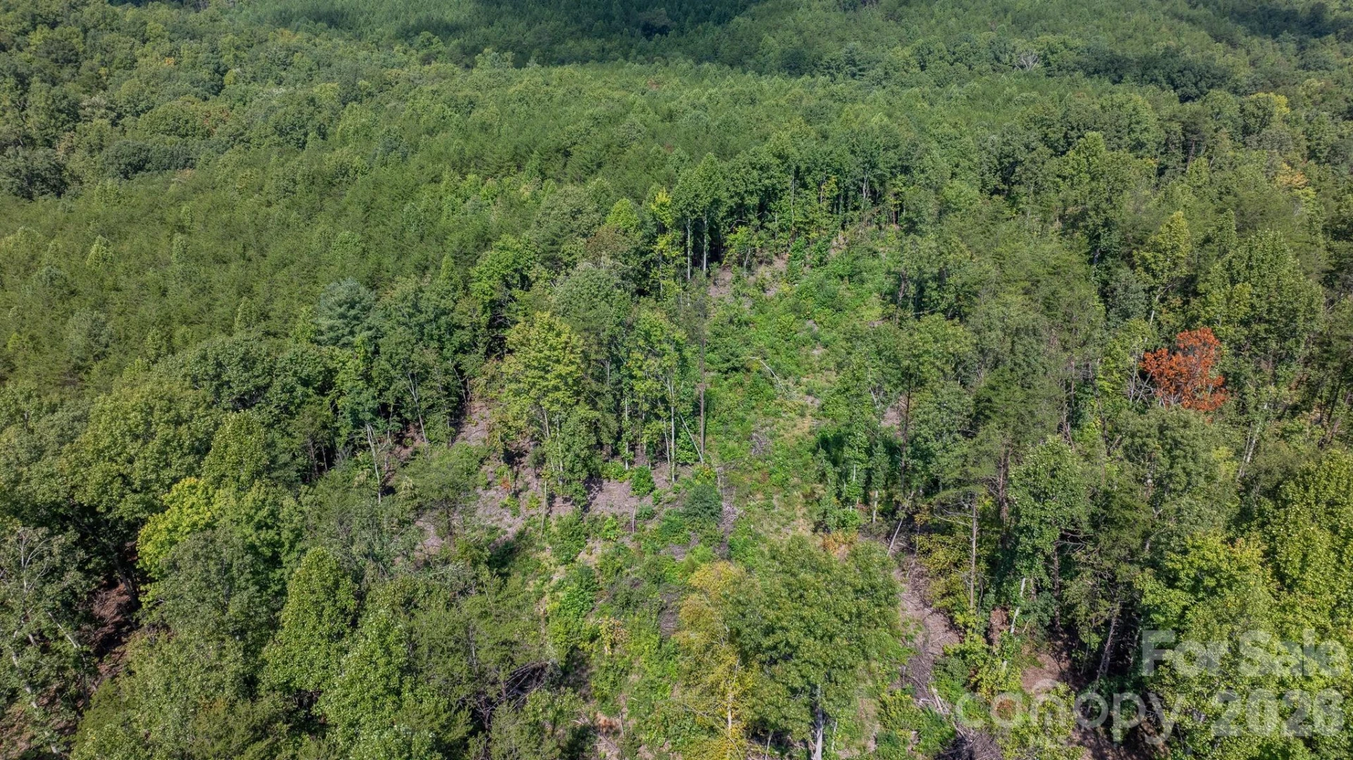 817 Drucilla Church Road - Photo 11