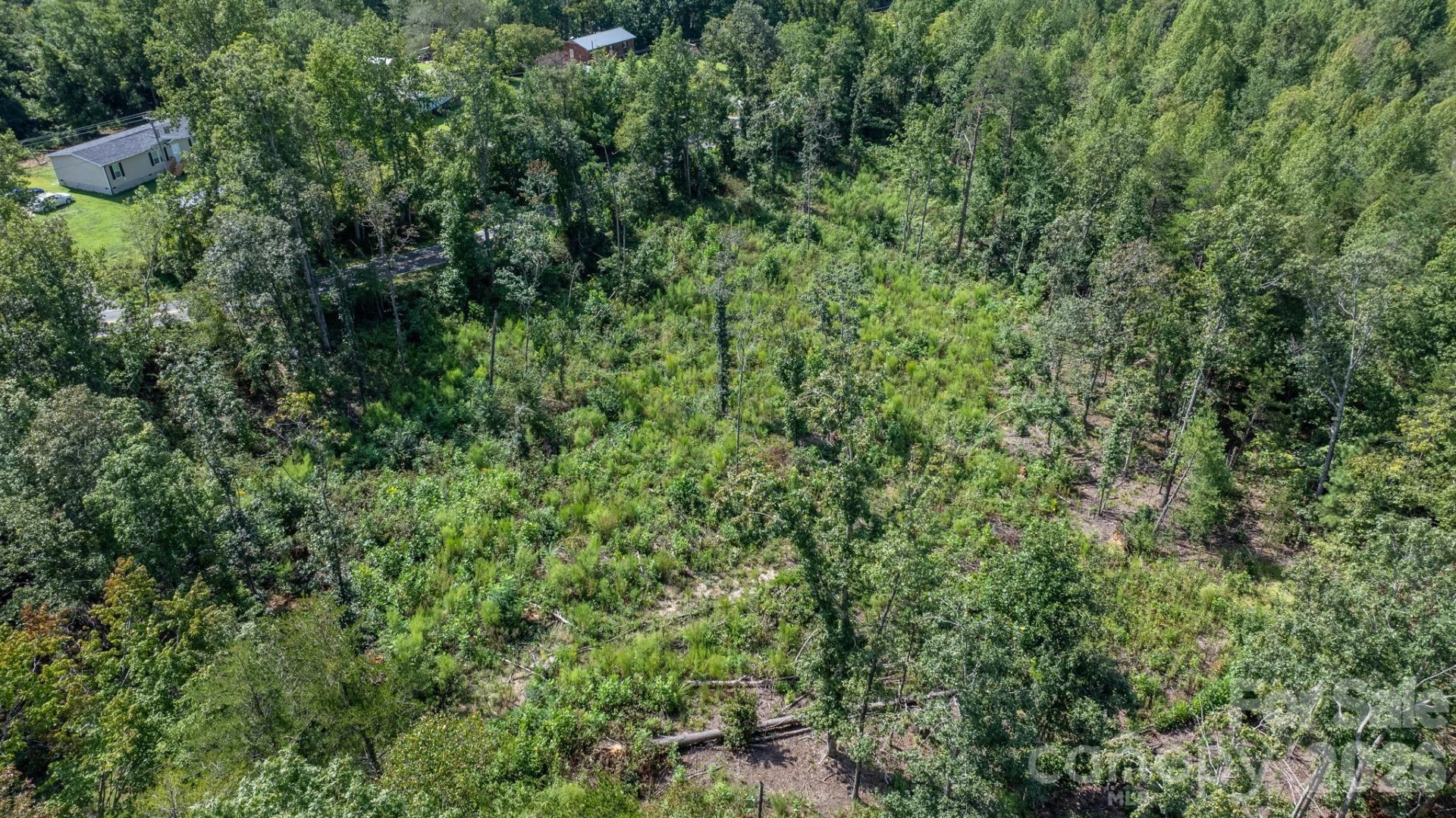 817 Drucilla Church Road - Photo 12