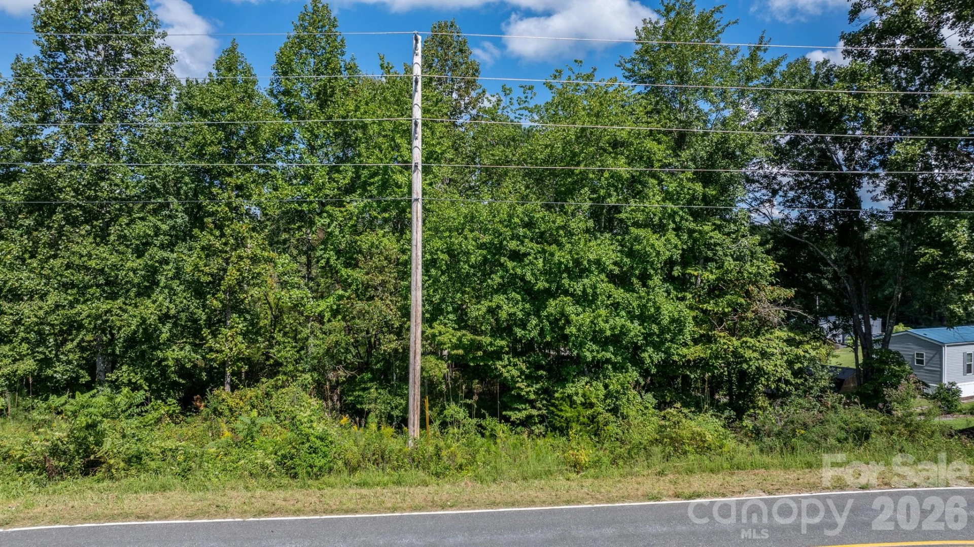 817 Drucilla Church Road - Photo 33