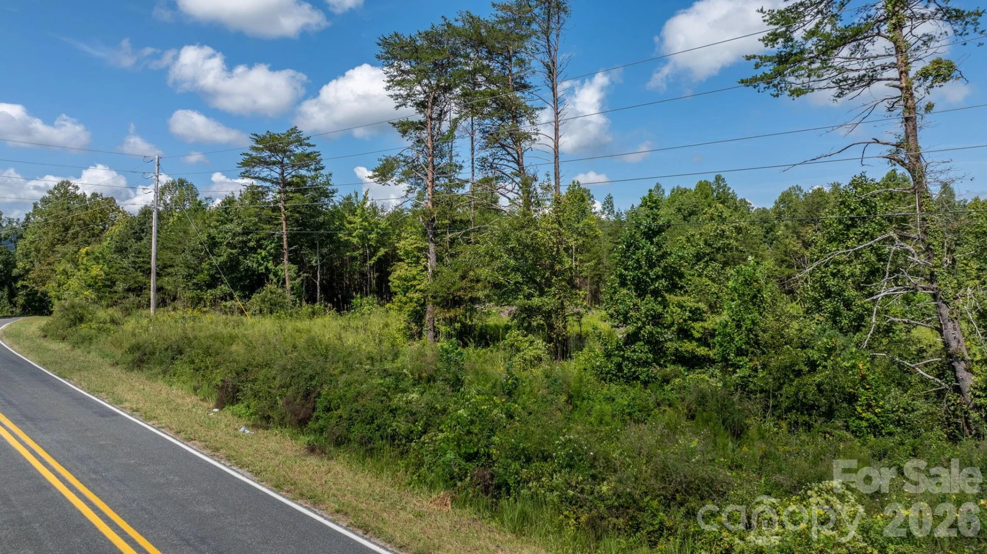 817 Drucilla Church Road - Photo 34