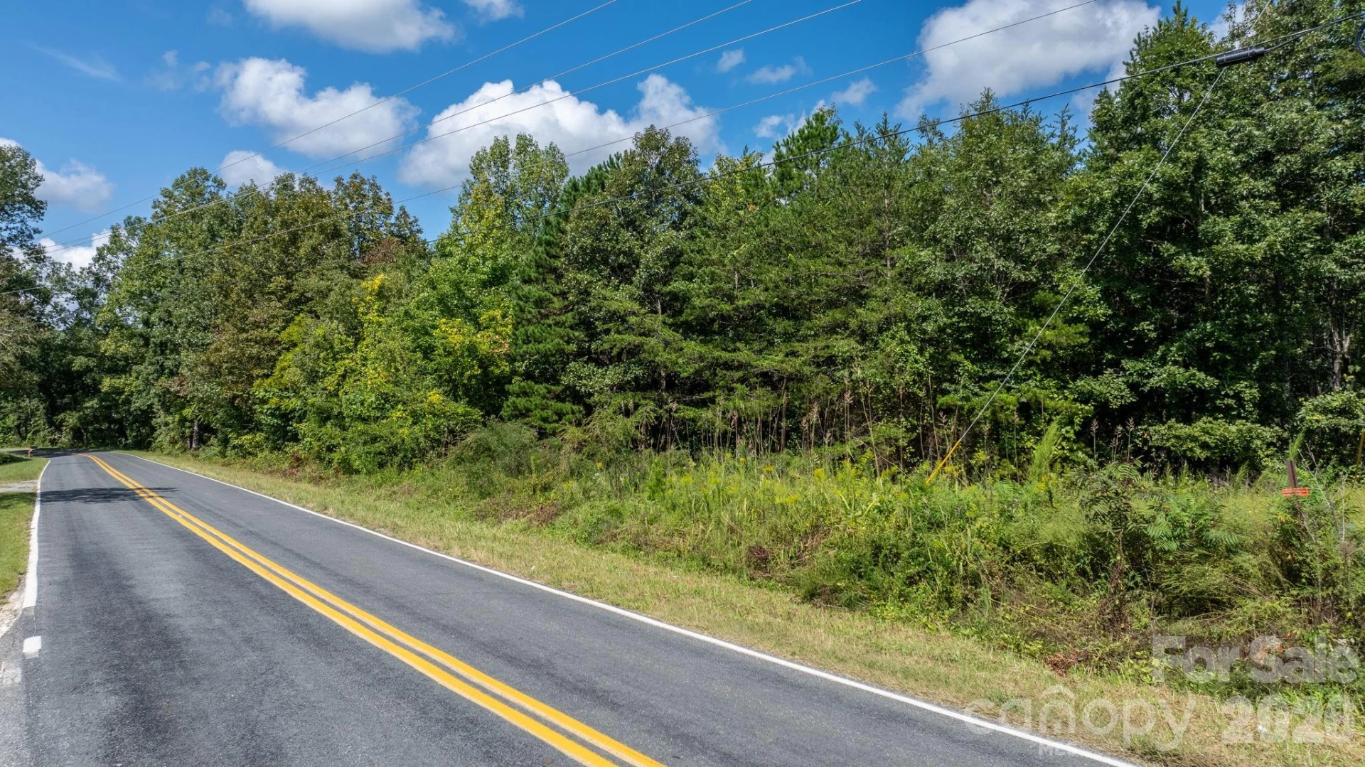 817 Drucilla Church Road - Photo 35