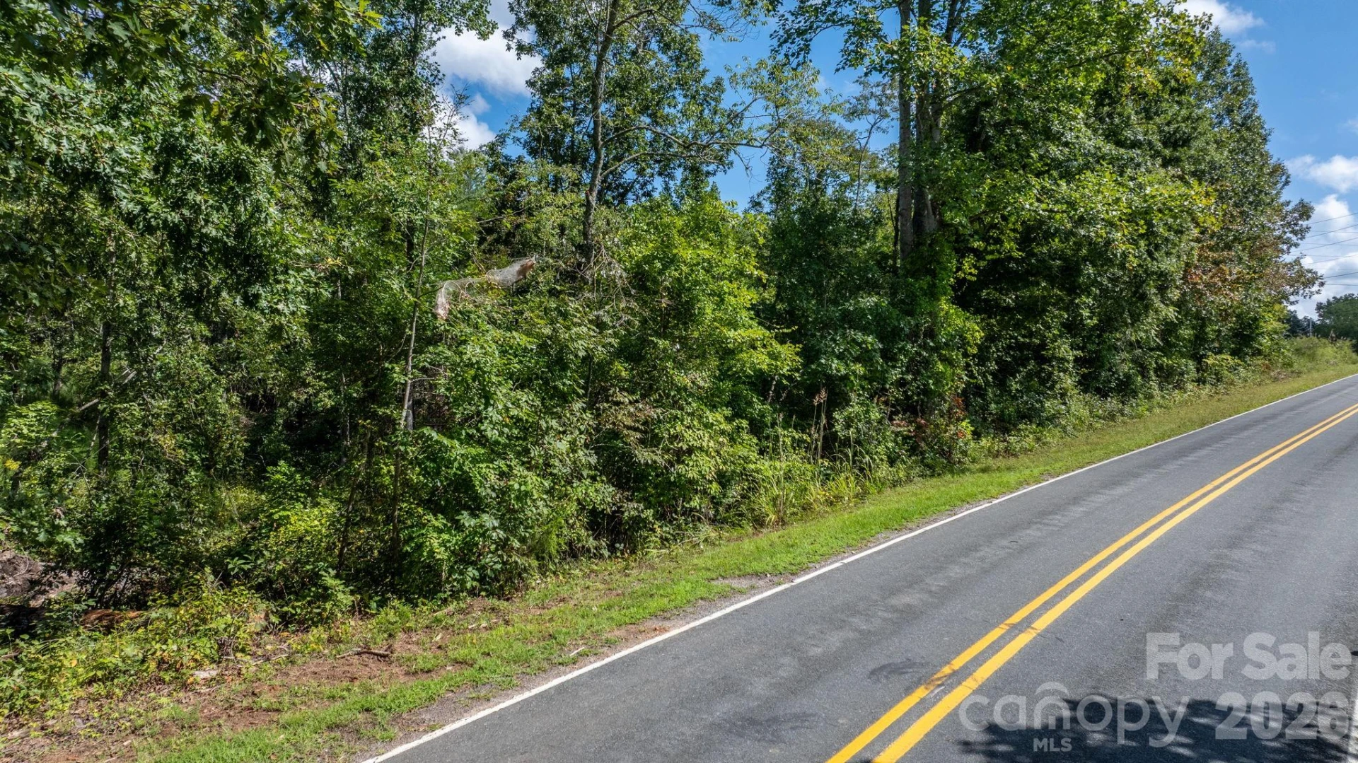 817 Drucilla Church Road - Photo 38