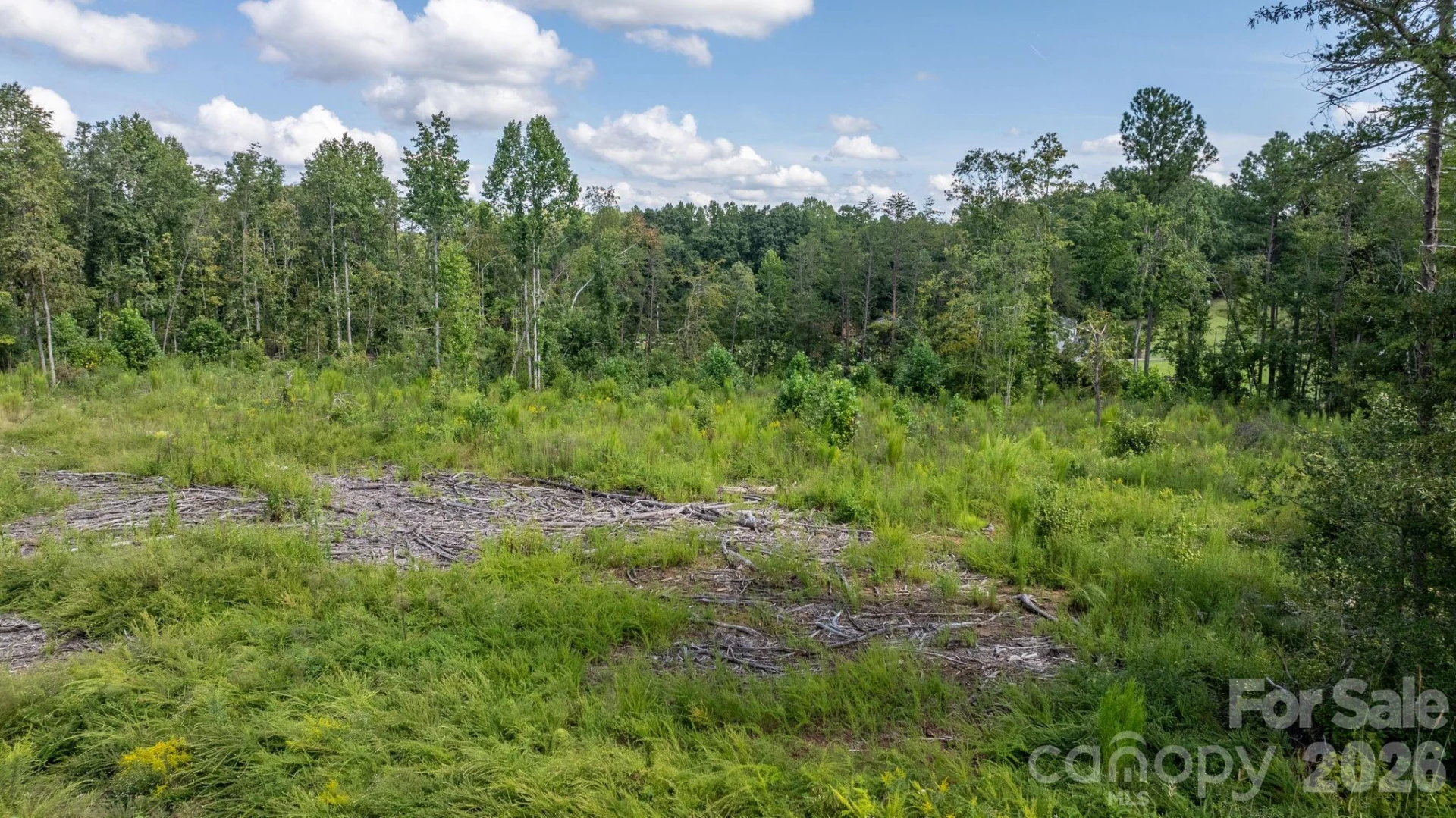 817 Drucilla Church Road - Photo 39