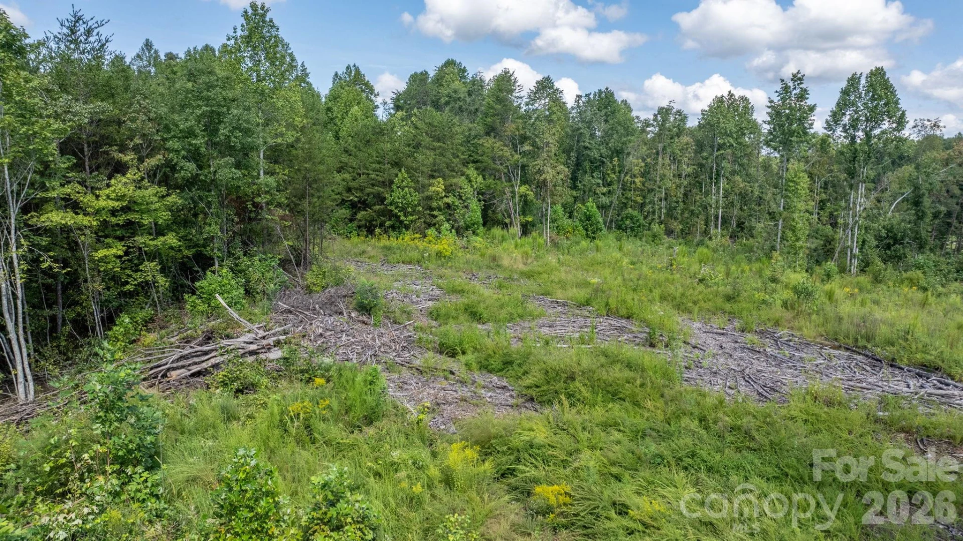 817 Drucilla Church Road - Photo 40