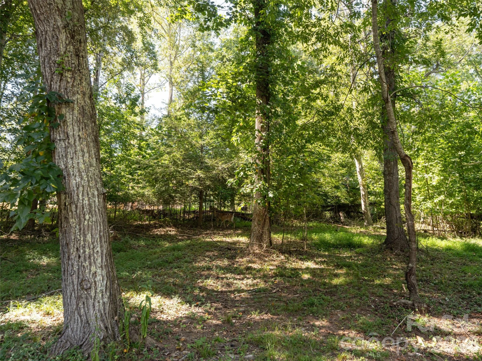 26 Audrey Lane - Photo 34