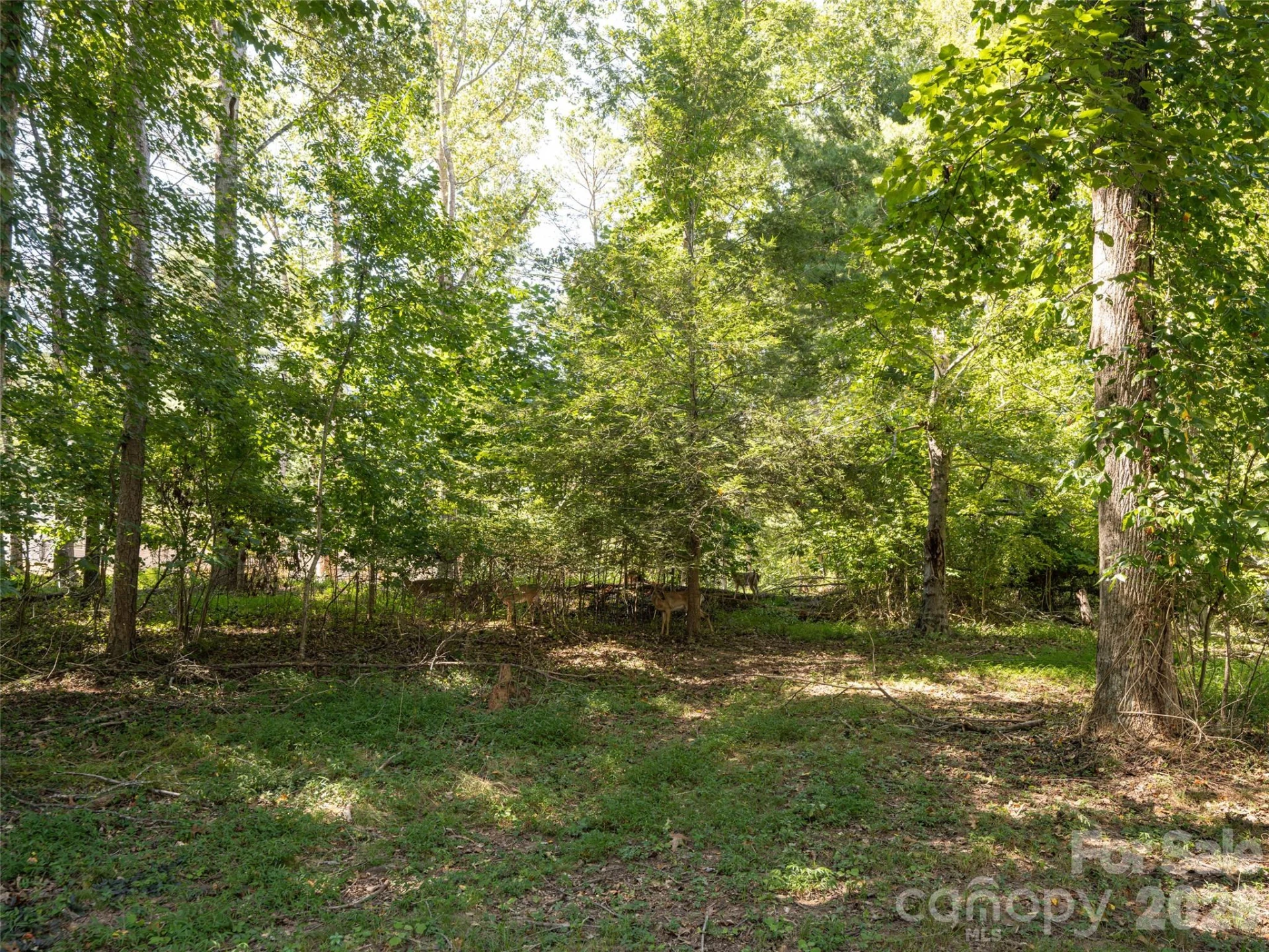 26 Audrey Lane - Photo 35
