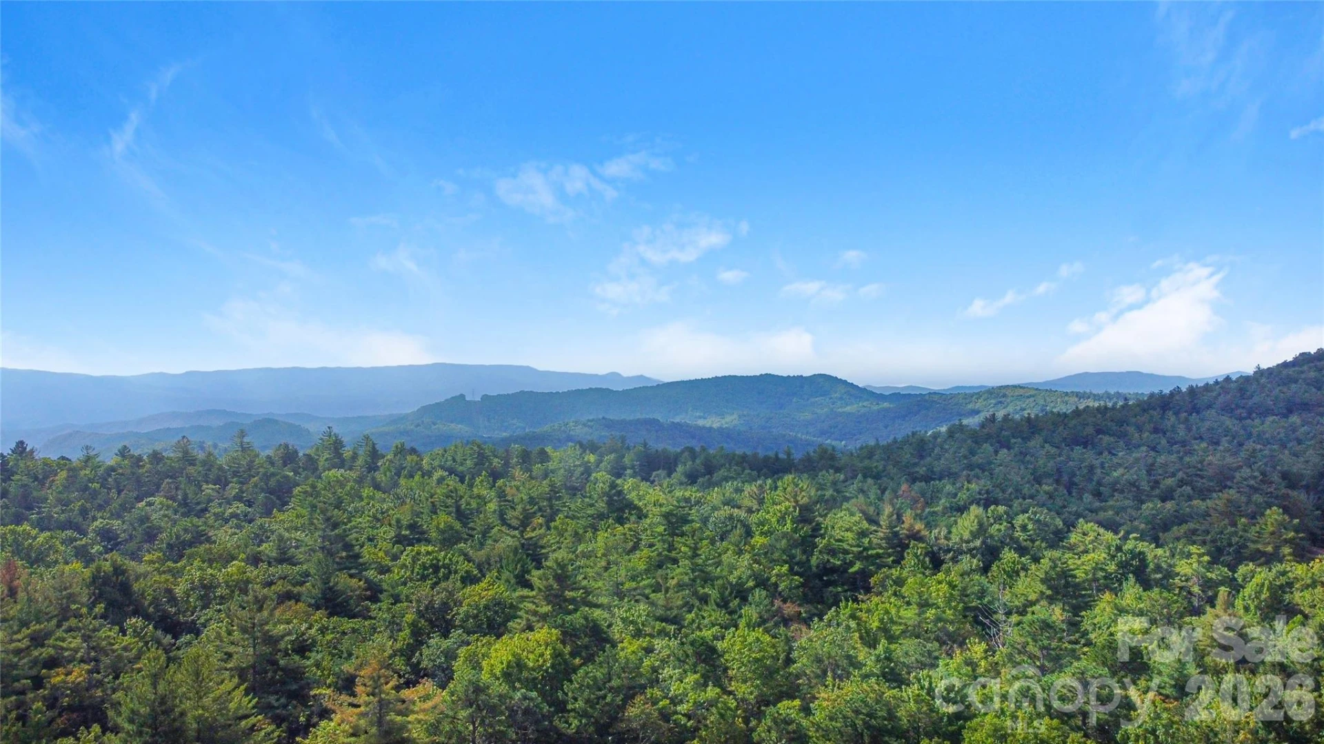 97 Toxaway Views Drive #704 - Photo 21
