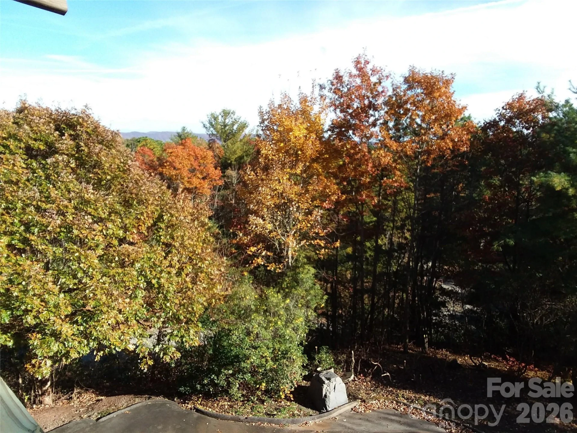 97 Toxaway Views Drive #704 - Photo 42