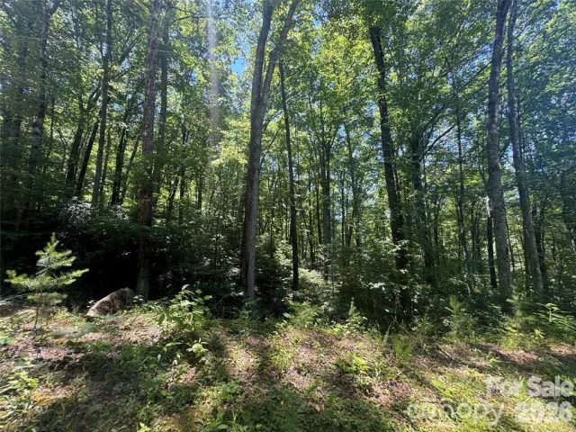 165 N Poplar Drive, Lake Lure, NC, 28746