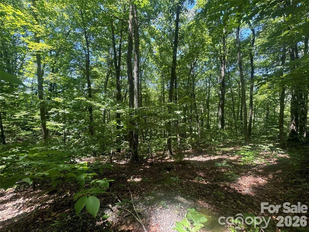 165 N Poplar Drive - Photo 2