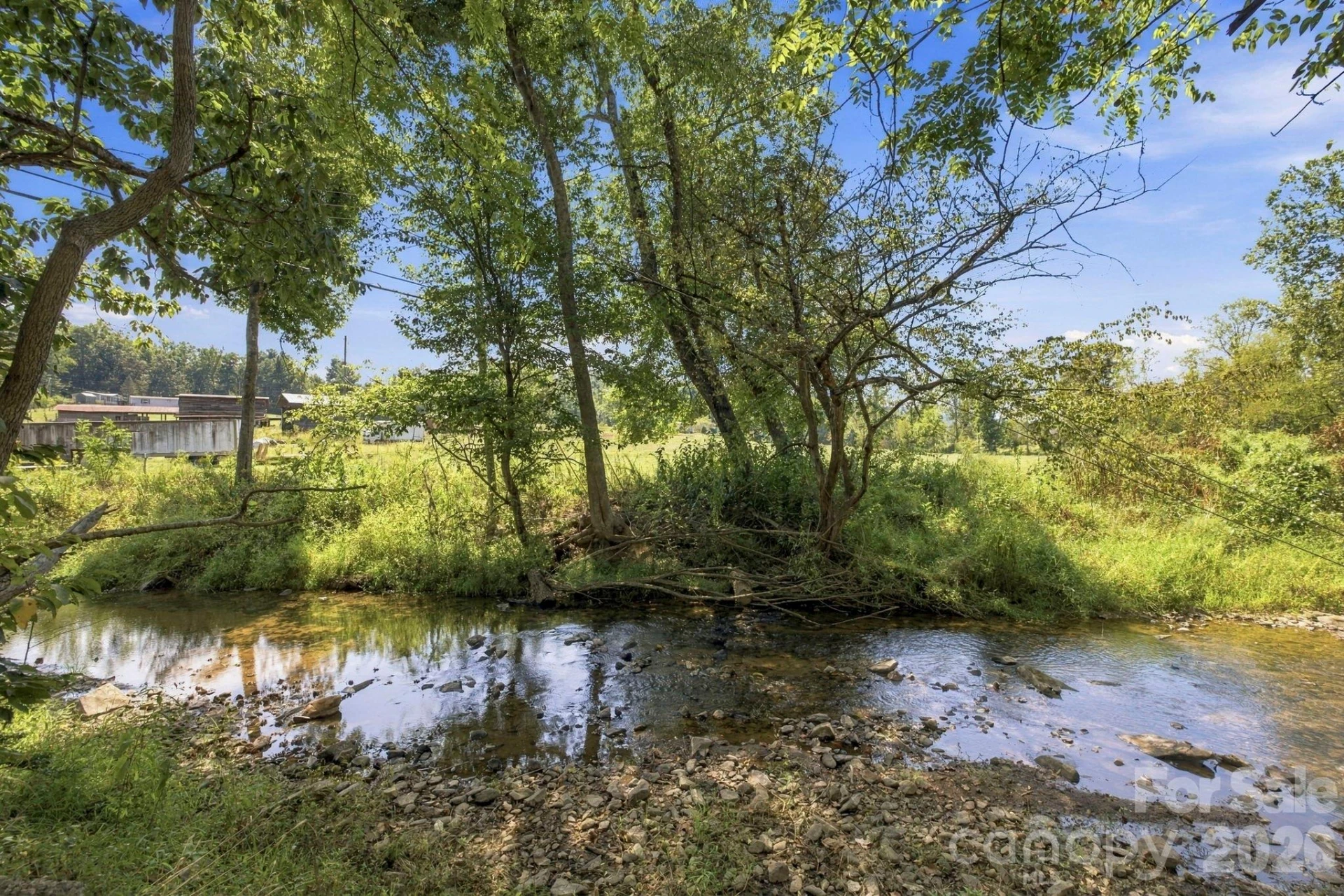 423 Reems Creek Road - Photo 19