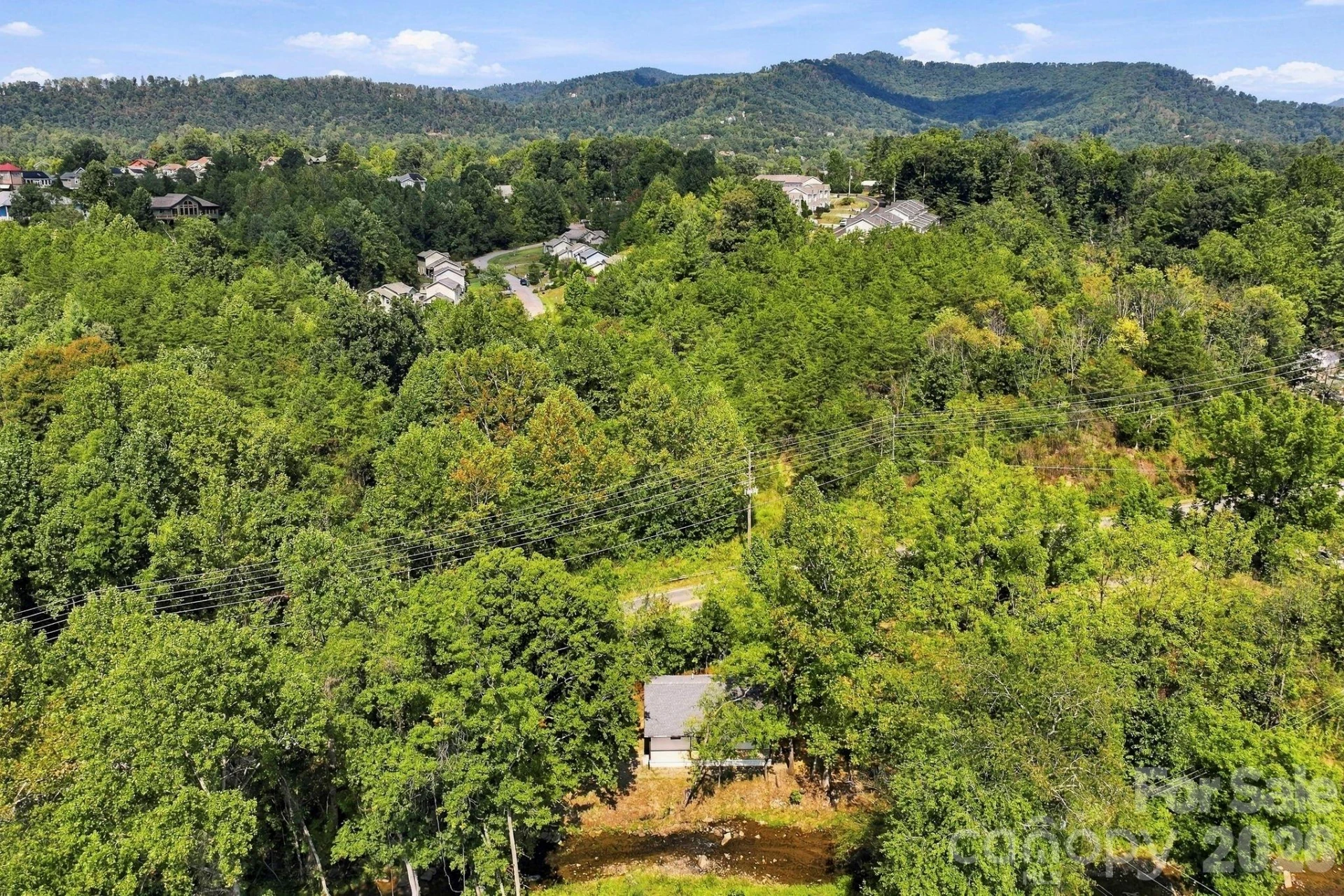 423 Reems Creek Road - Photo 34