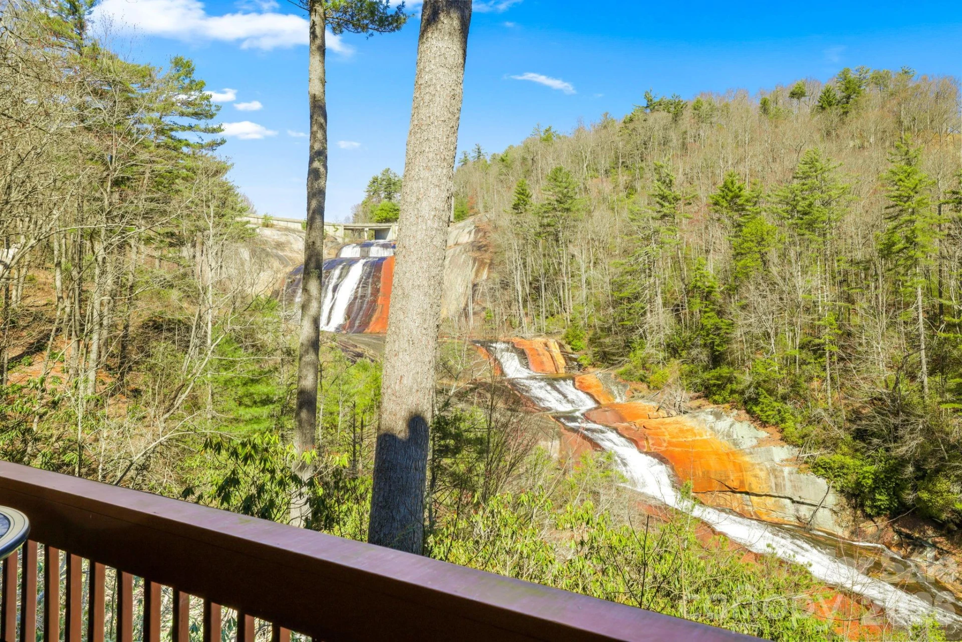 221 Toxaway Falls Drive #1 - Photo 7