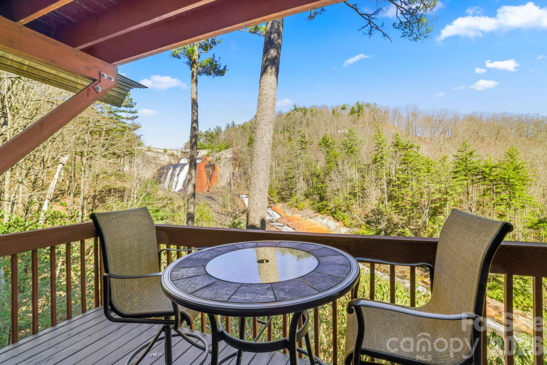 221 Toxaway Falls Drive #1 - Photo 29