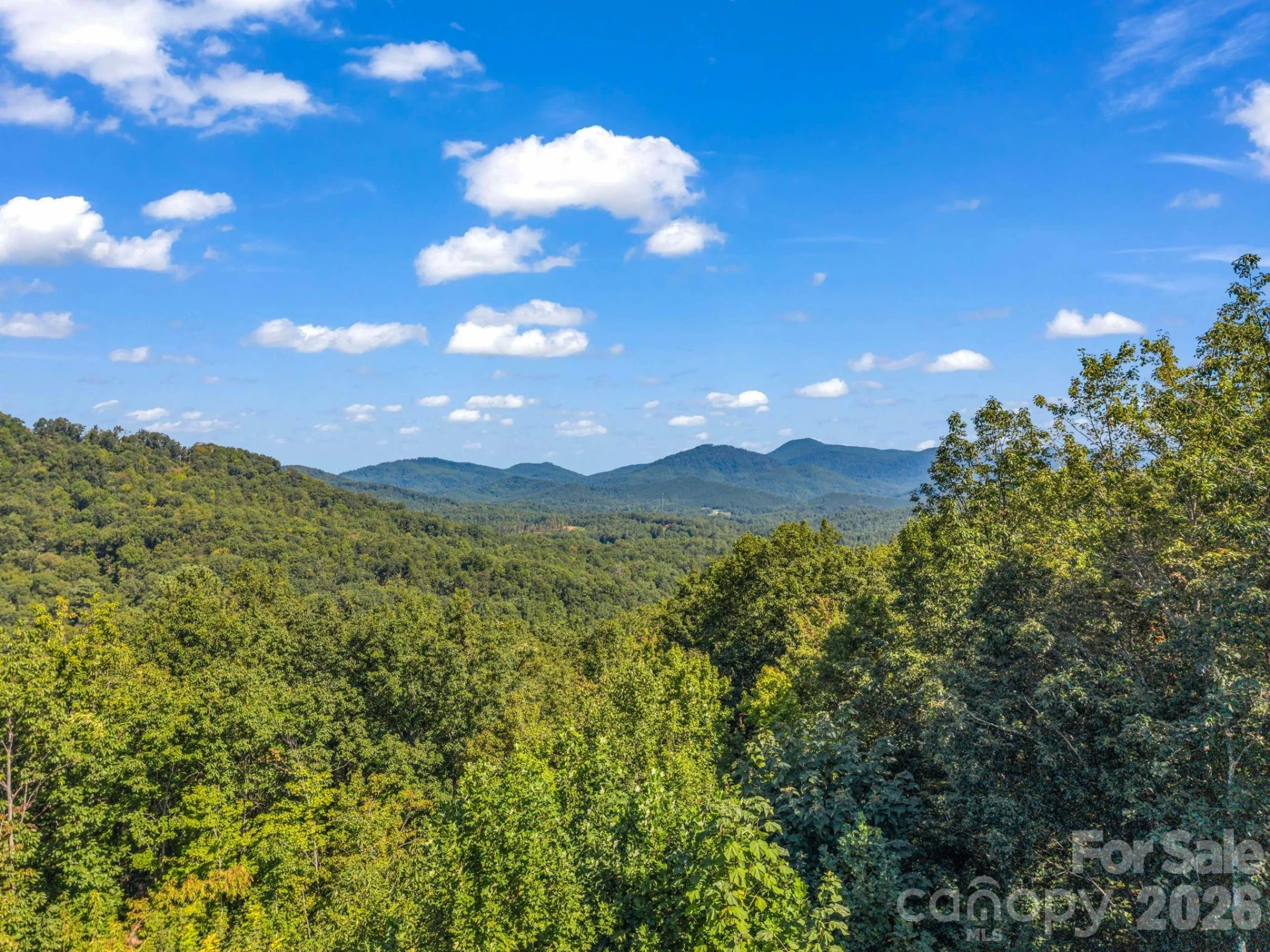 485 Mountain Lookout Drive - Photo 6