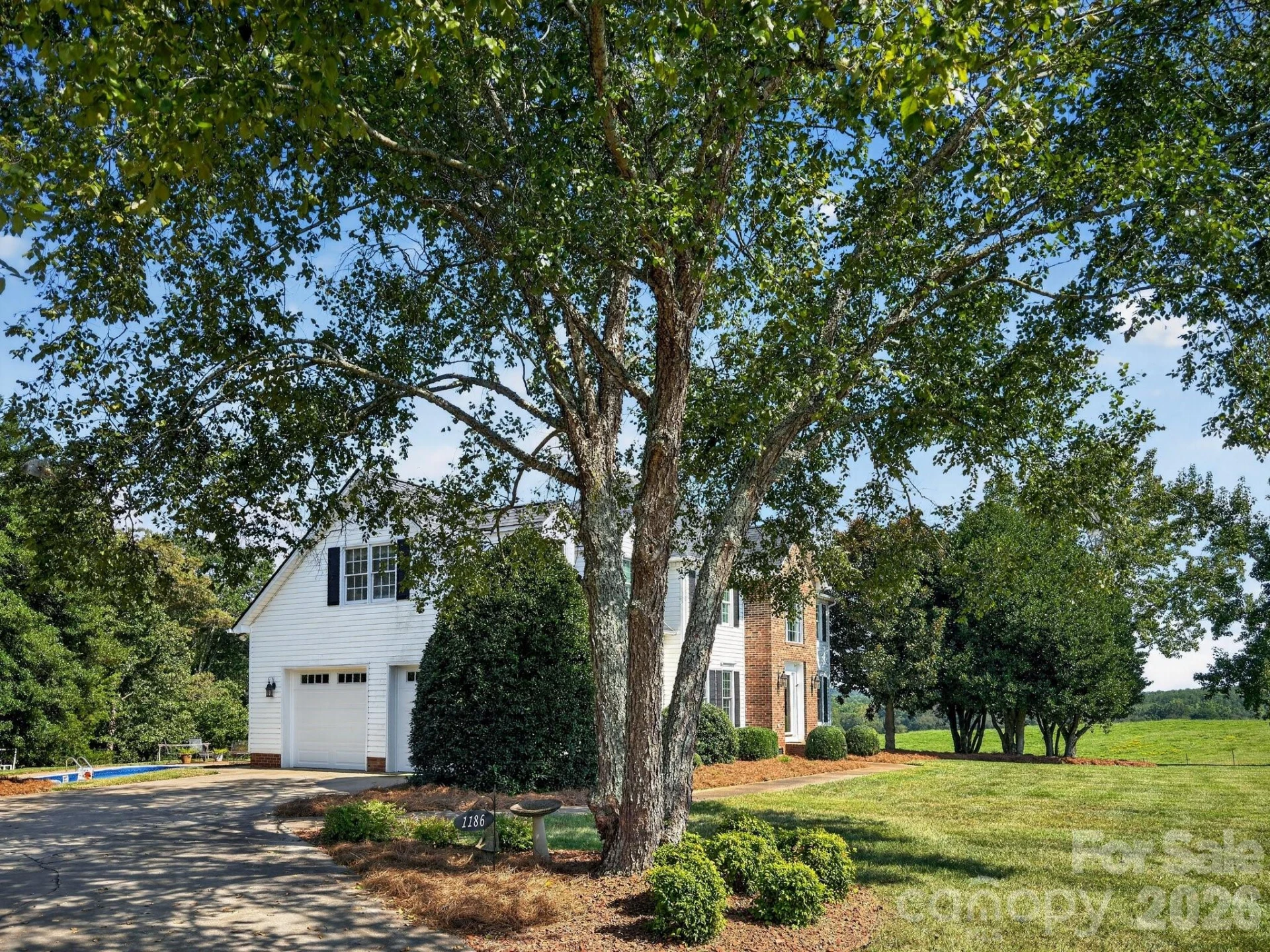 1186 Morningstar Lake Road - Photo 3