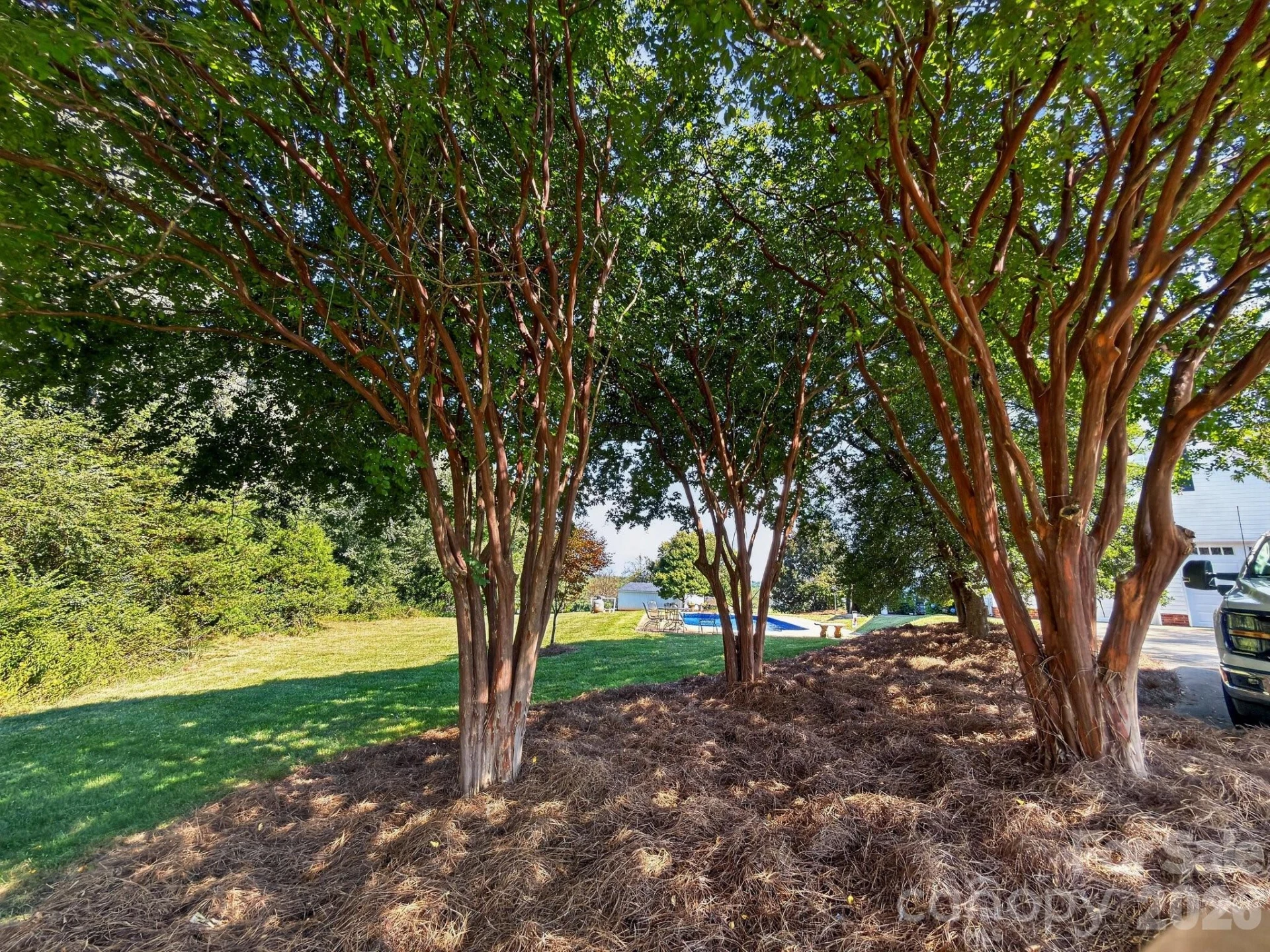 1186 Morningstar Lake Road - Photo 5
